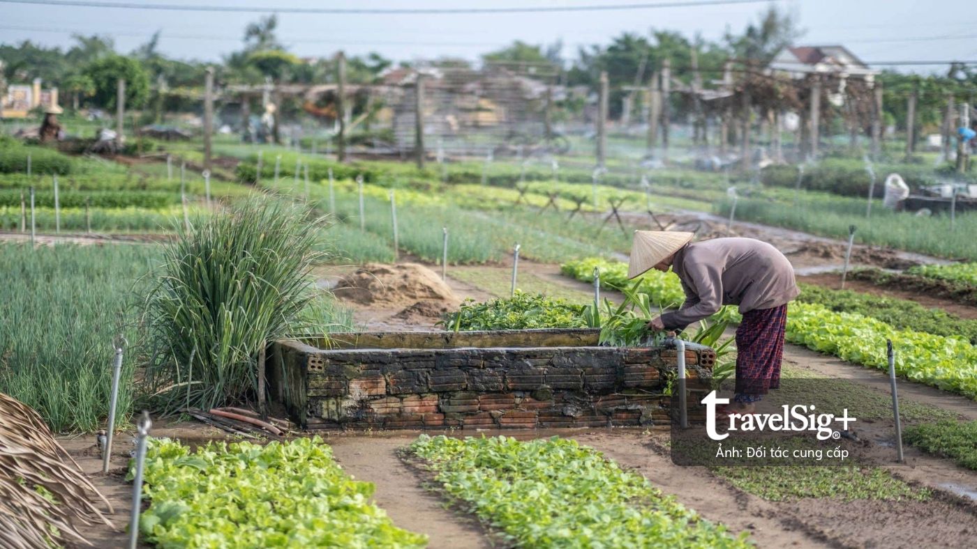 Đi để sẻ chia: Những điểm đến nuôi dưỡng cộng đồng Việt