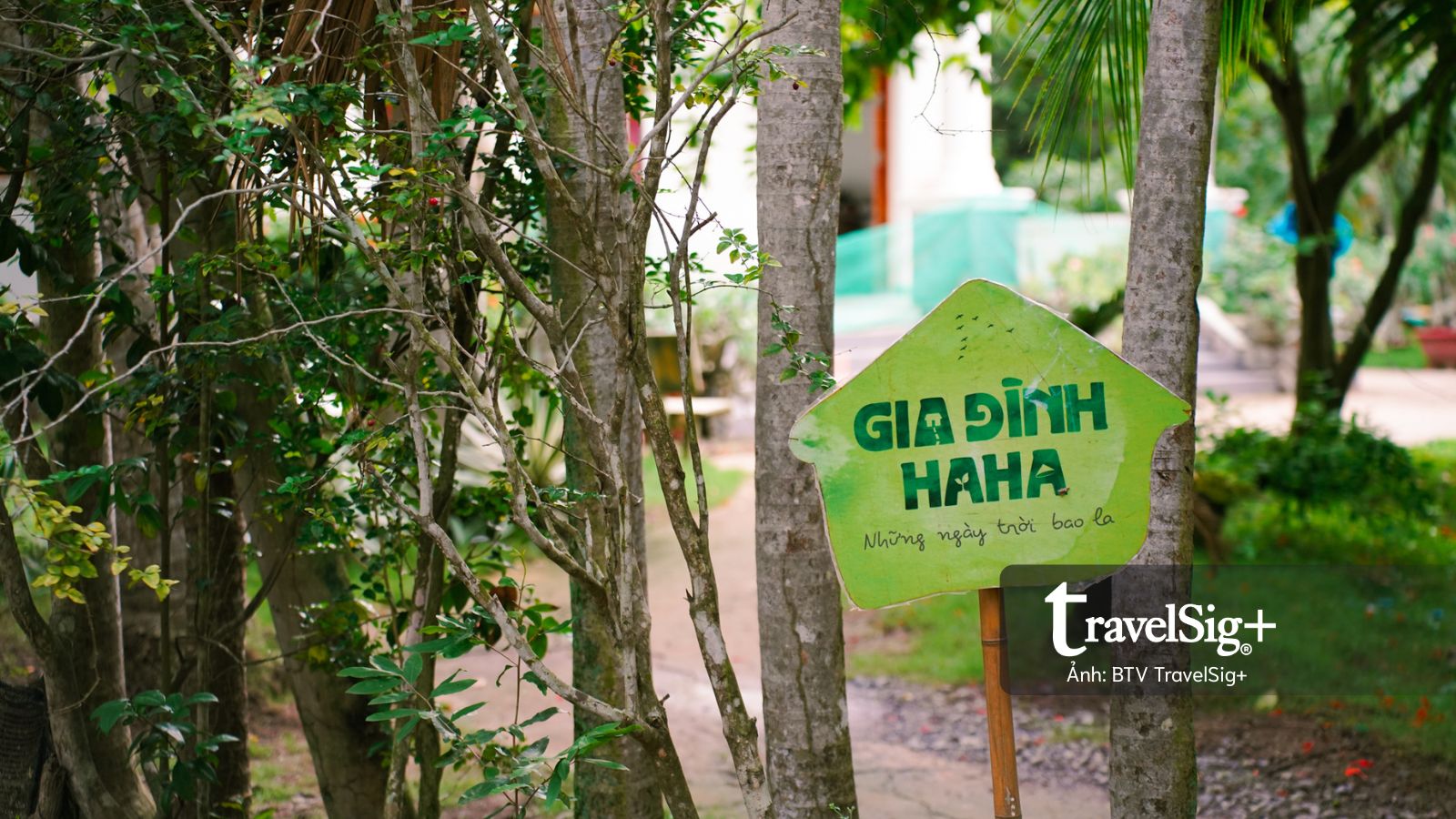 48 giờ hòa vào nhịp sống miền quê Bến Tre