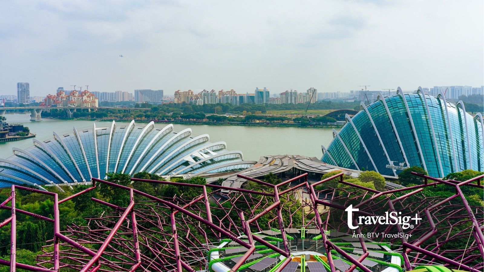 Gardens by the Bay: Khi Singapore cất giấu cả một khu rừng giữa lòng đô thị