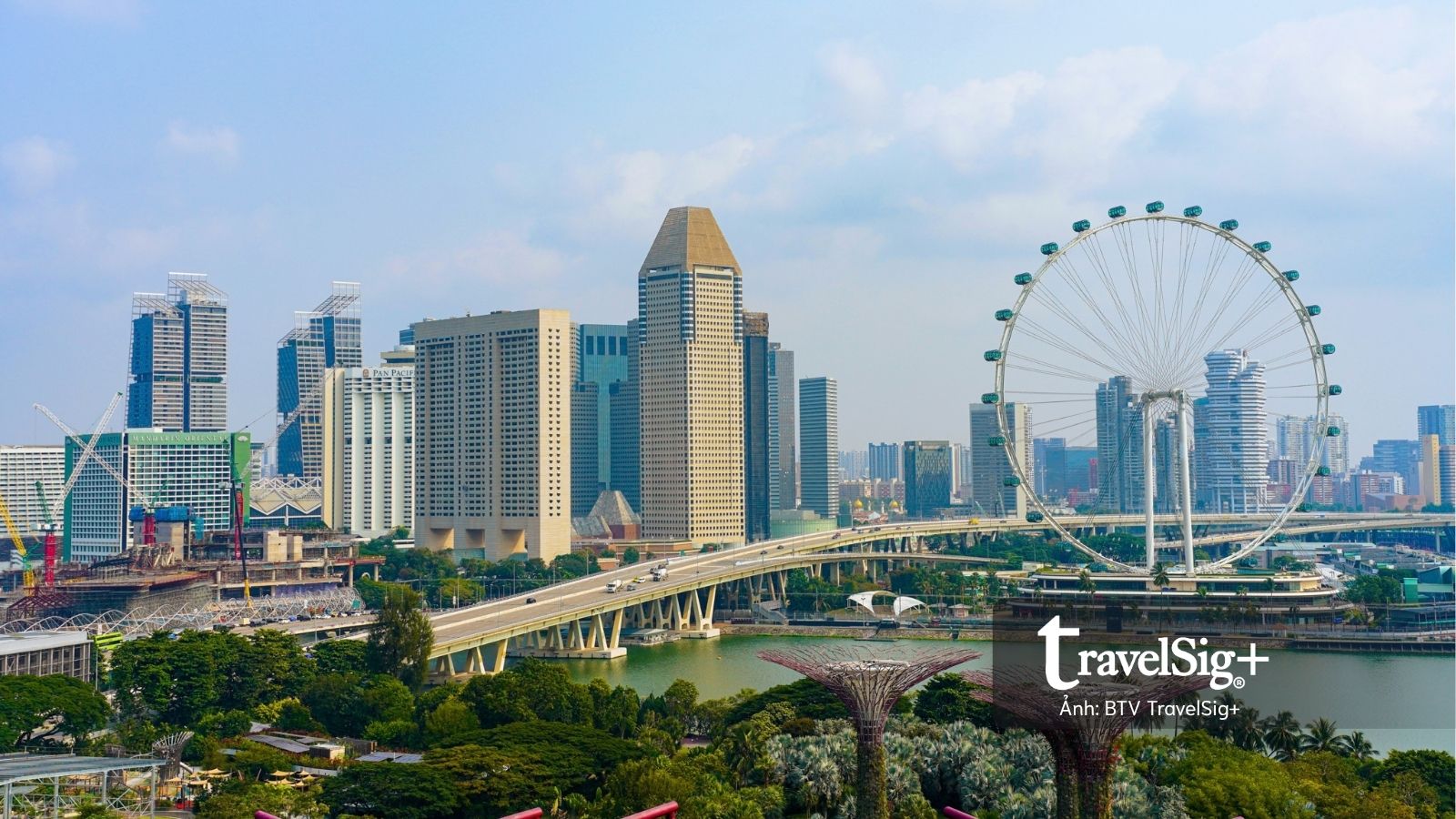 Gardens by the Bay: Khi Singapore cất giấu cả một khu rừng giữa lòng đô thị