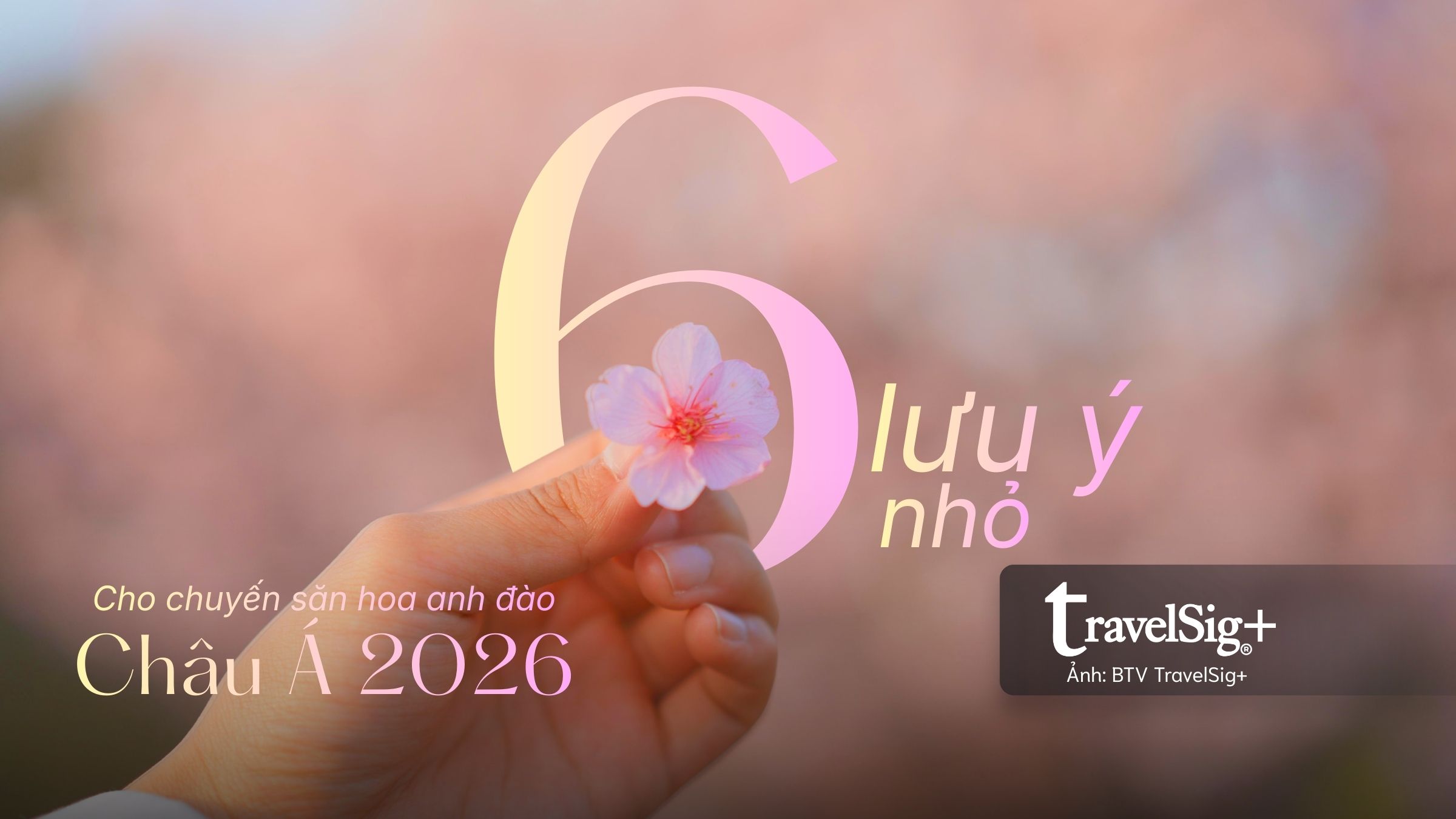 6 lưu ý nhỏ cho chuyến săn hoa anh đào châu Á