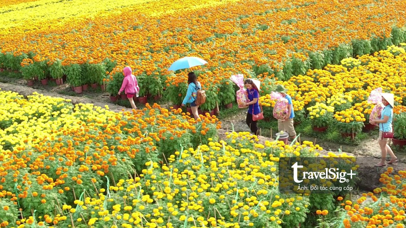 Đi để sẻ chia: Những điểm đến nuôi dưỡng cộng đồng Việt