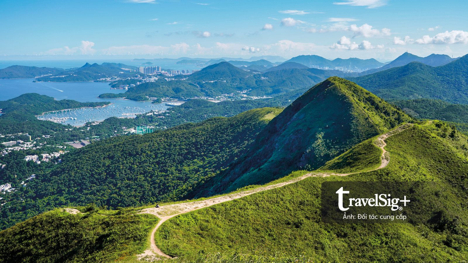 Hong Kong Cyclothon 2026: Khám phá Hồng Kông trên những cung đường biểu tượng