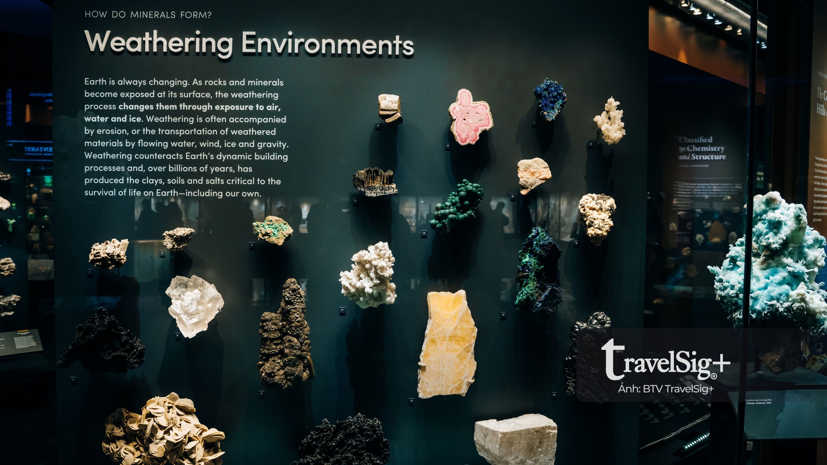 American Museum of Natural History: Bản giao hưởng của thời gian giữa lòng Manhattan