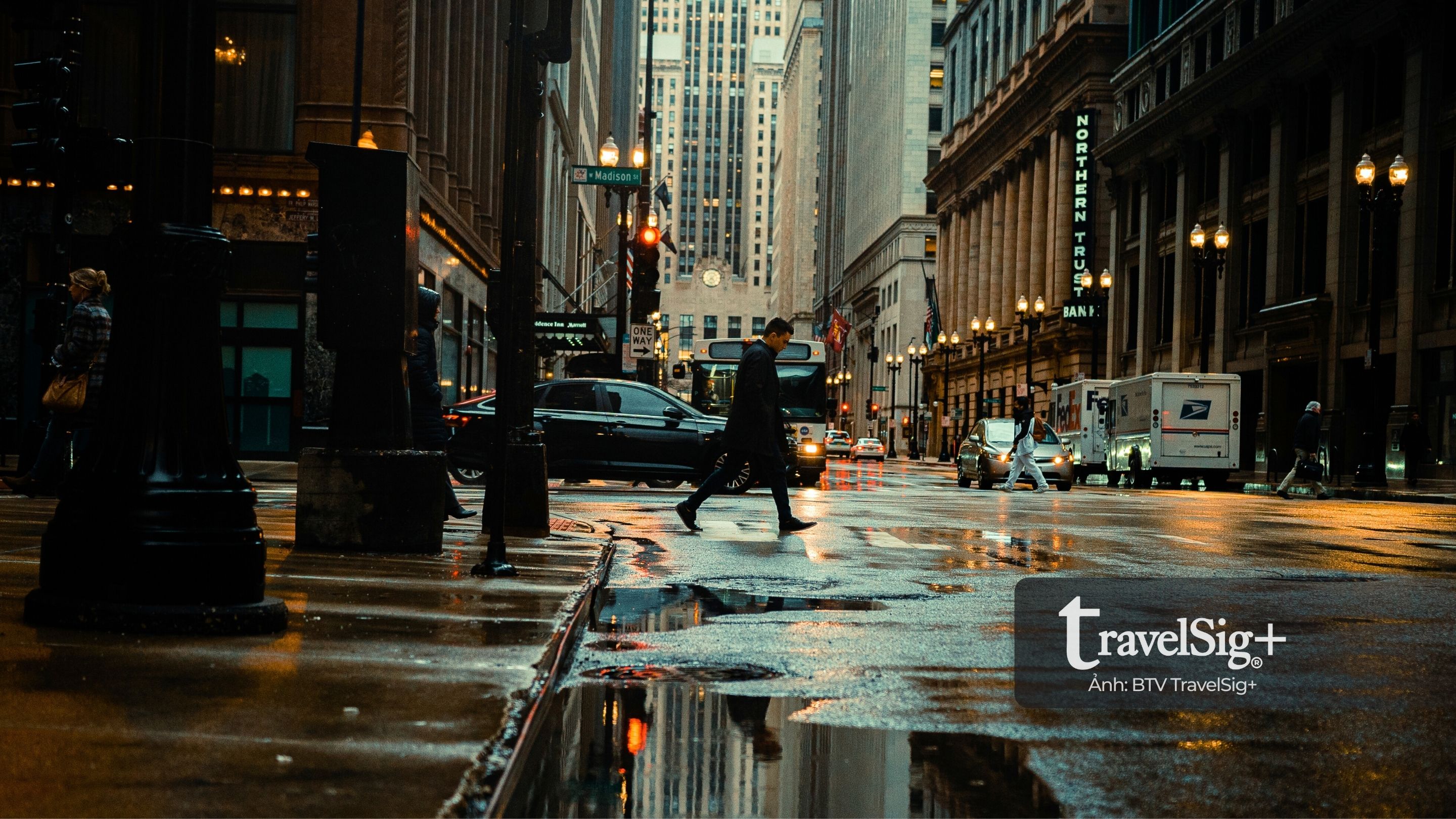 American Museum of Natural History: Bản giao hưởng của thời gian giữa lòng Manhattan