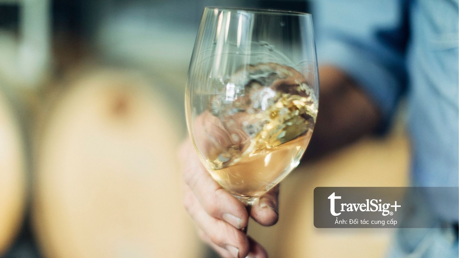 Australian Wine Showcase 2026 đưa sự đa dạng của vang Úc đến gần hơn với thị trường Việt Nam