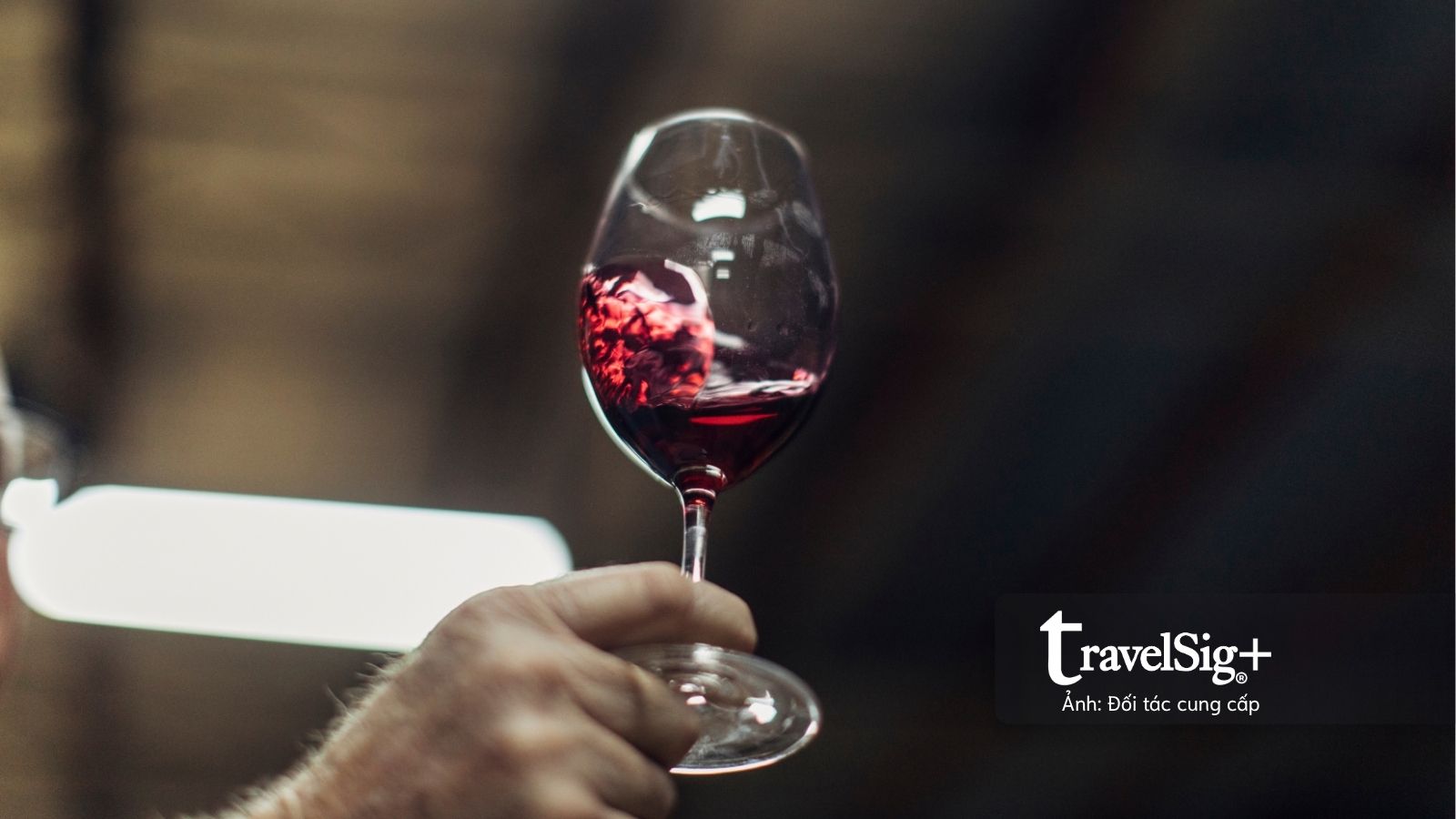 australian-wine-showcase-2026-dua-su-da-dang-cua-vang-uc-den-gan-hon-voi-thi-truong-viet-nam (2).jpg