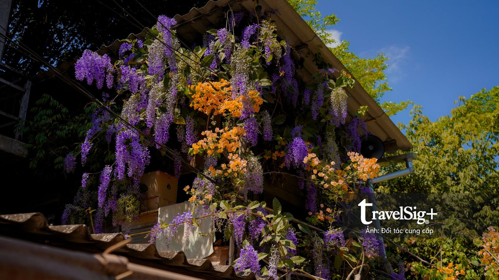 Baan Kang Wat: Những mảnh ghép thủ công giữa lòng Chiang Mai