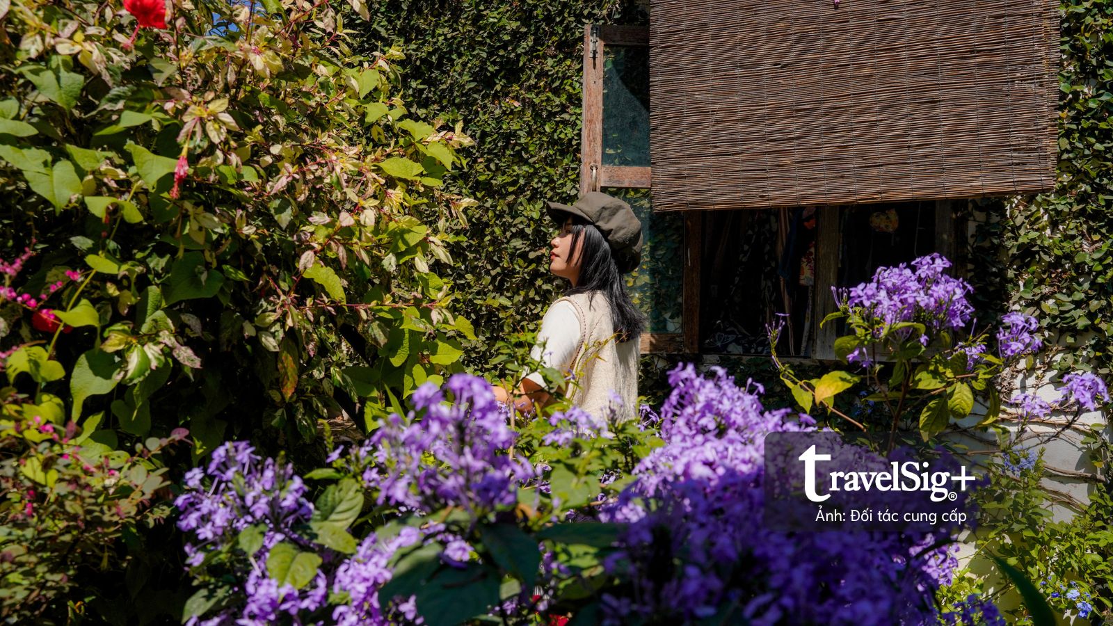 Baan Kang Wat: Những mảnh ghép thủ công giữa lòng Chiang Mai