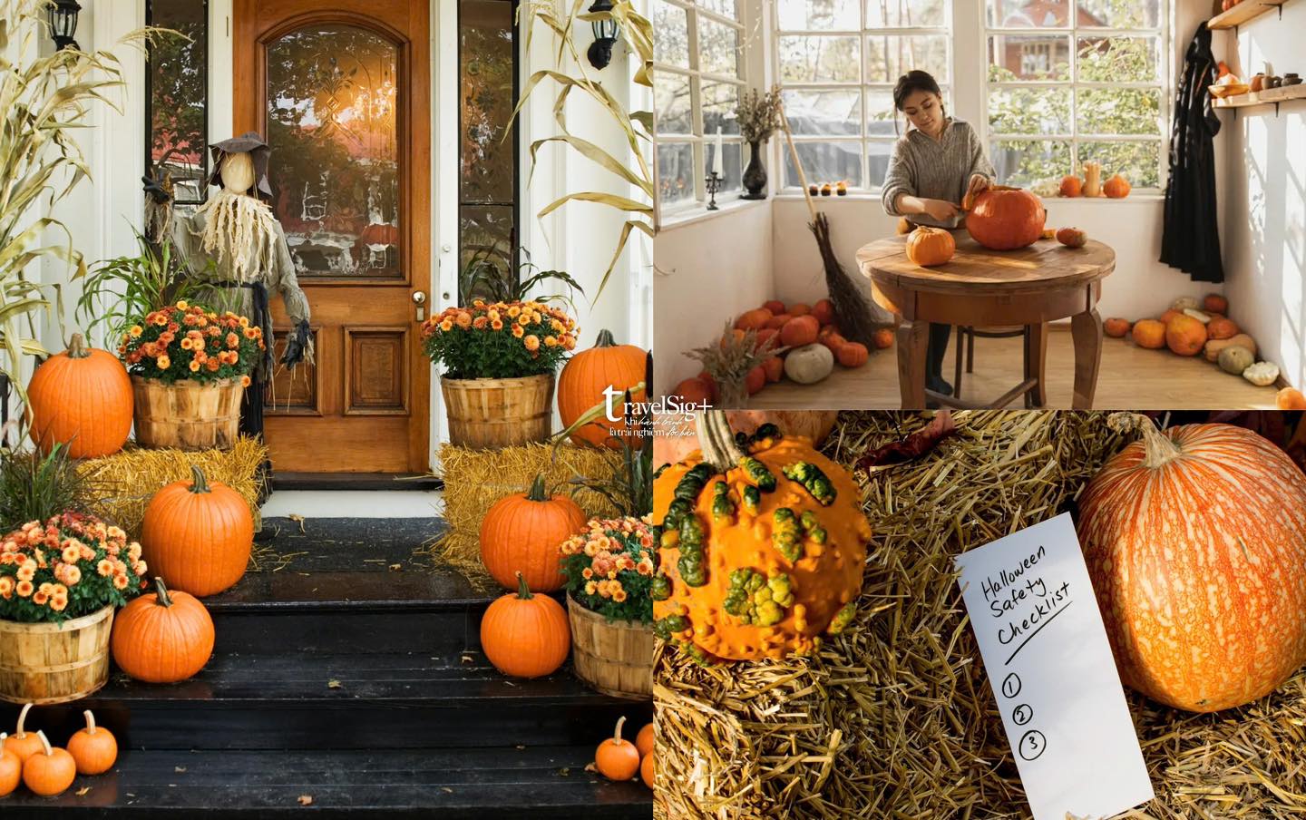 Bí ngô, biểu tượng Halloween: Từ củ cải Ireland đến lễ hội ma quái ngày nay