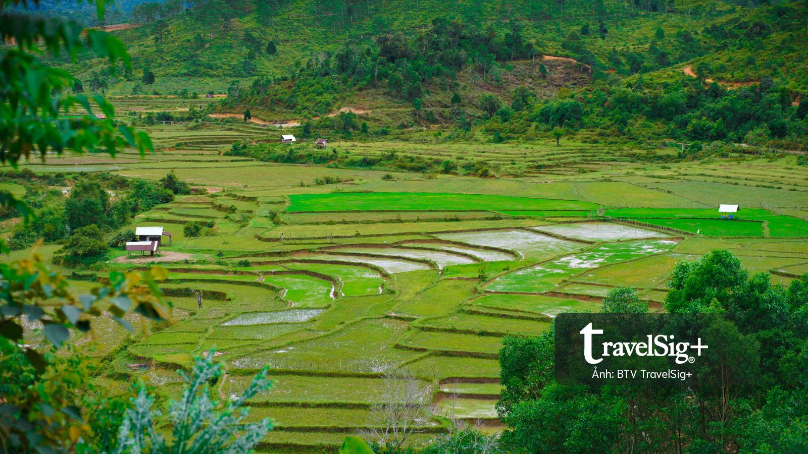 Bình yên trong ngôi làng của người Mơ Nâm giữa thung lũng Măng Đen