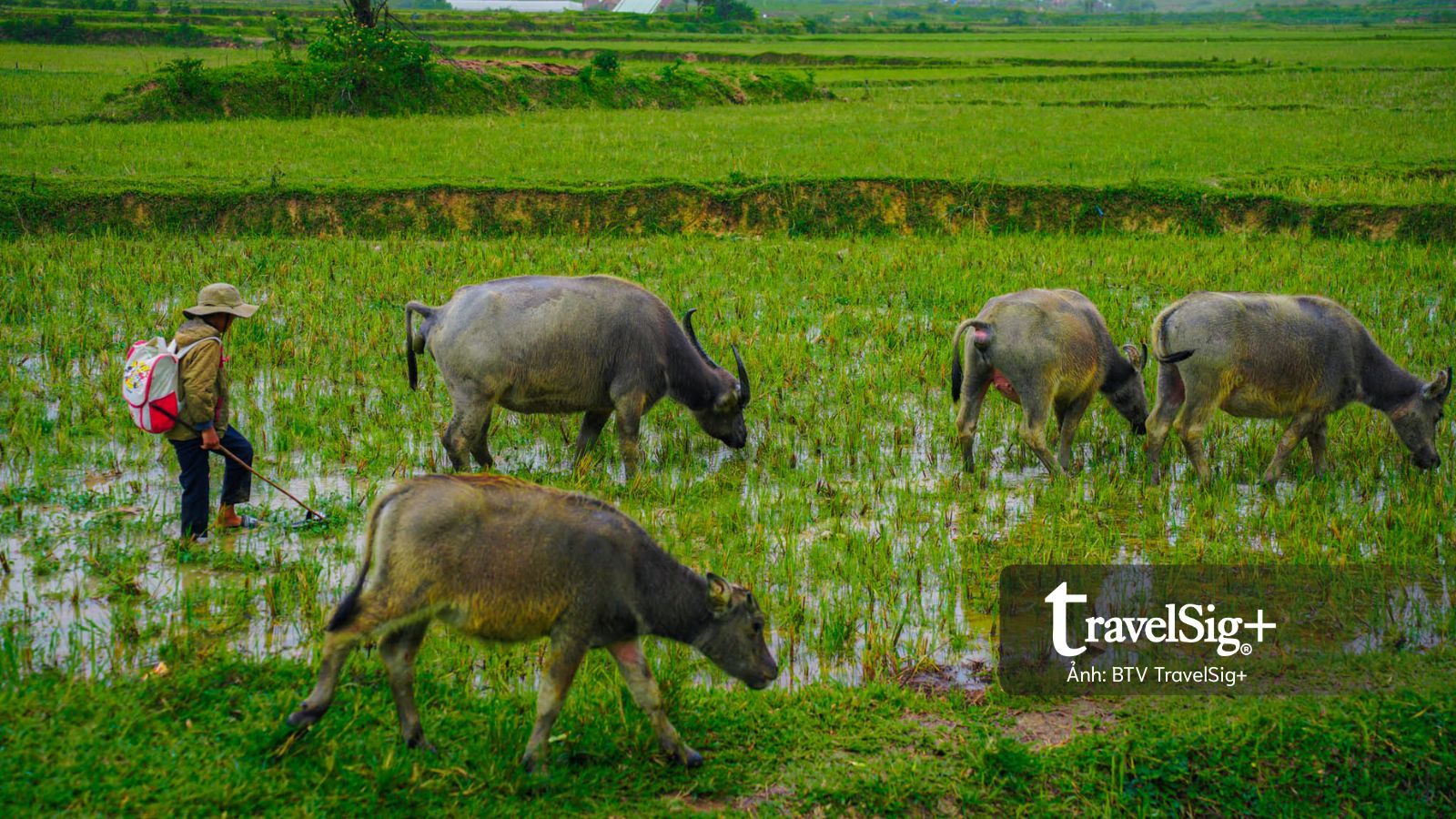 Bình yên trong ngôi làng của người Mơ Nâm giữa thung lũng Măng Đen