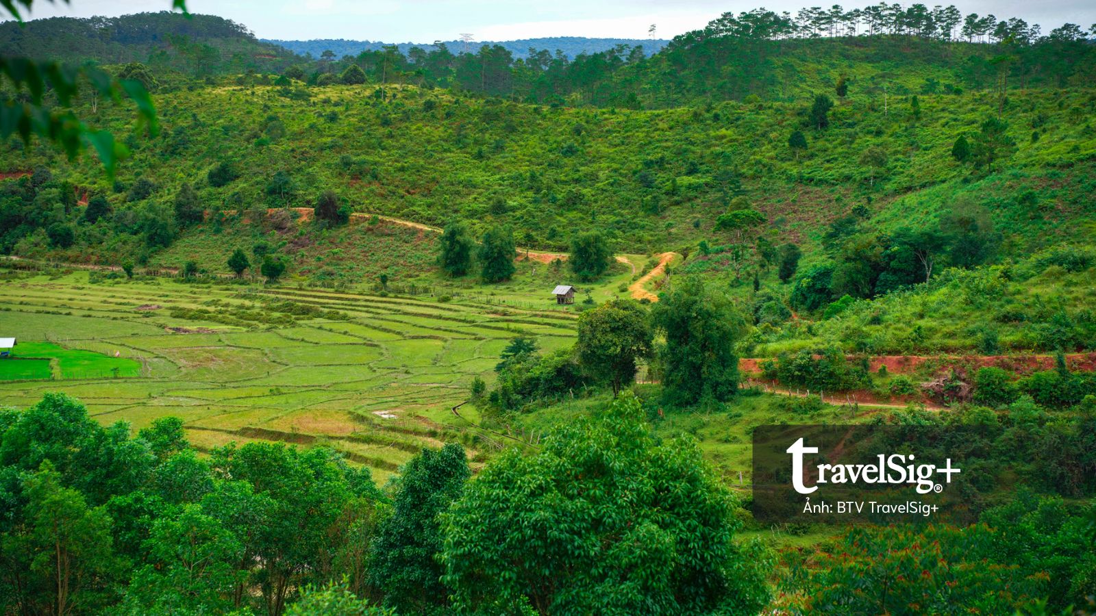 Bình yên trong ngôi làng của người Mơ Nâm giữa thung lũng Măng Đen