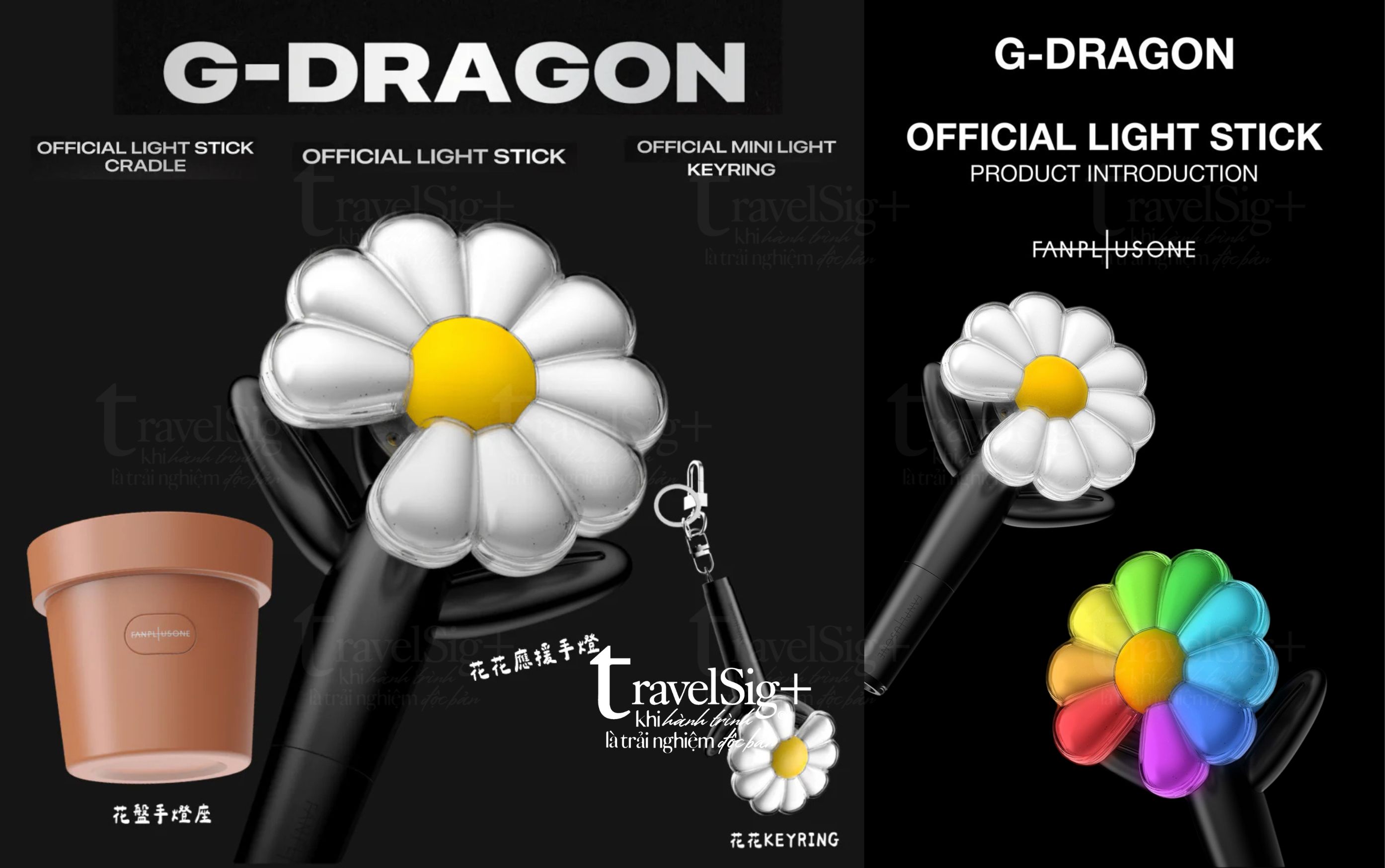 Bông cúc khuyết cánh - biểu tượng nổi loạn đầy thi vị của G-Dragon