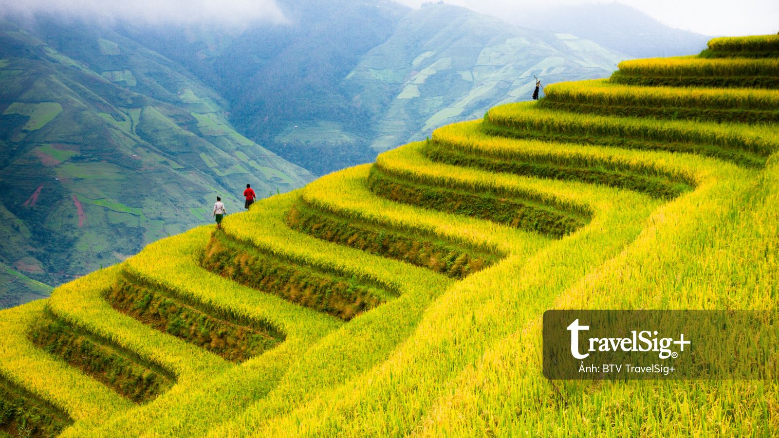 Booking.com vinh danh hơn 13.000 đối tác du lịch tại Việt Nam