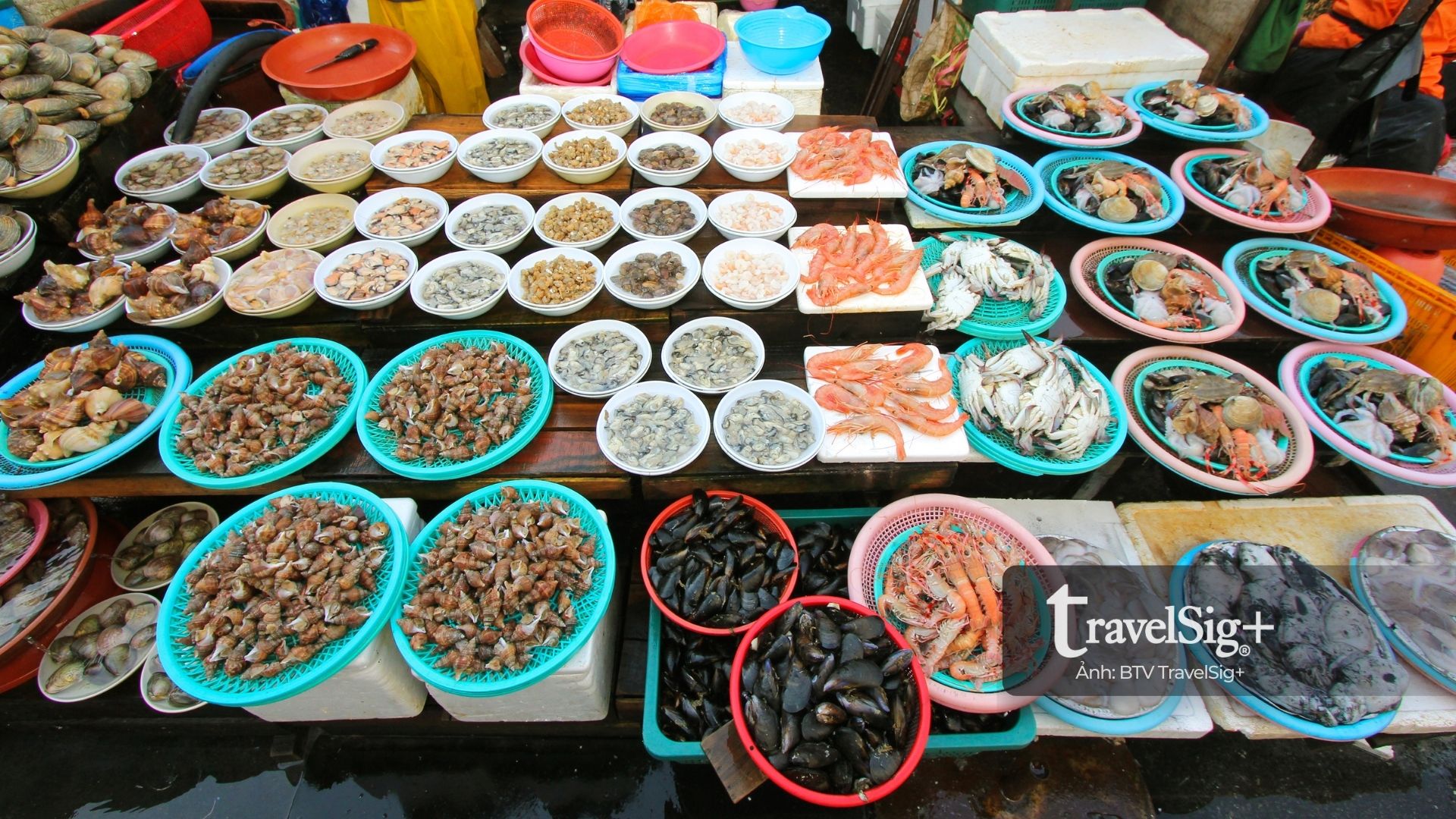 Busan - Nét quyến rũ giao hòa giữa biển xanh và đô thị hiện đại