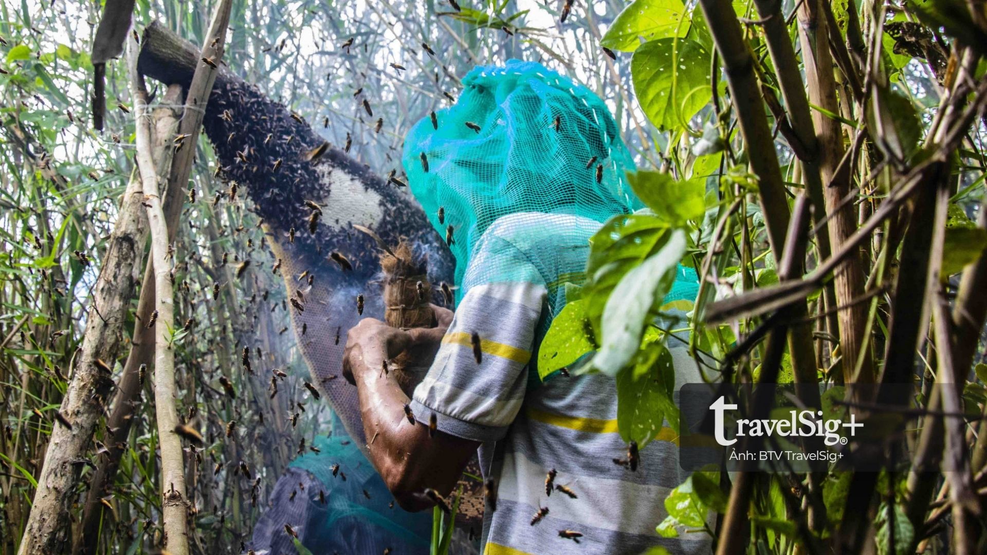 Cà Mau - Vẻ đẹp đất mũi phương Nam giữa thiên nhiên và tình người