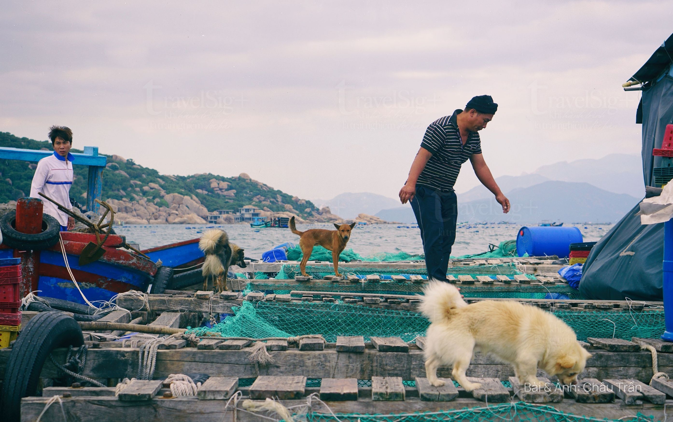 Cam Ranh, thủ phủ tôm hùm