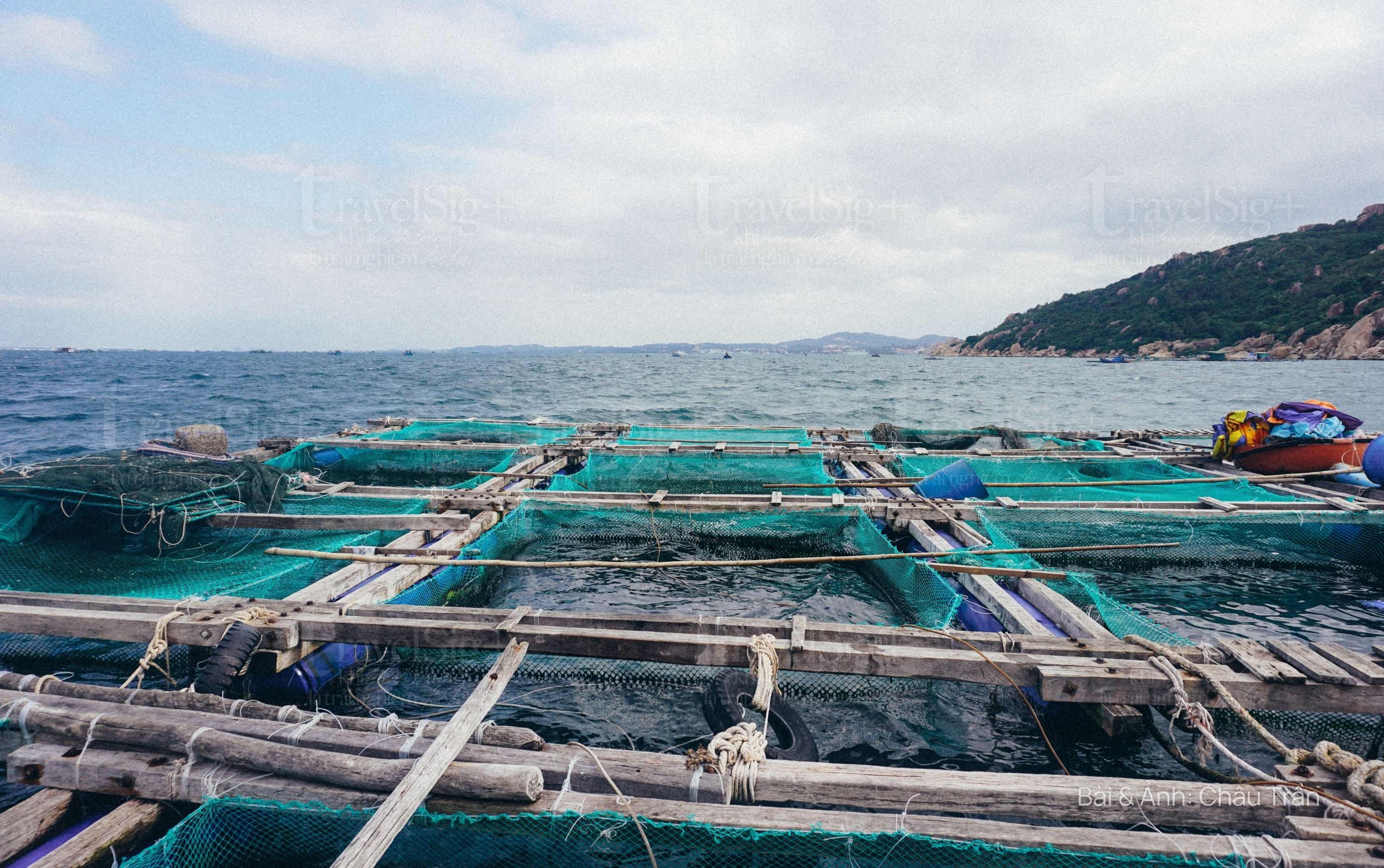 Cam Ranh, thủ phủ tôm hùm