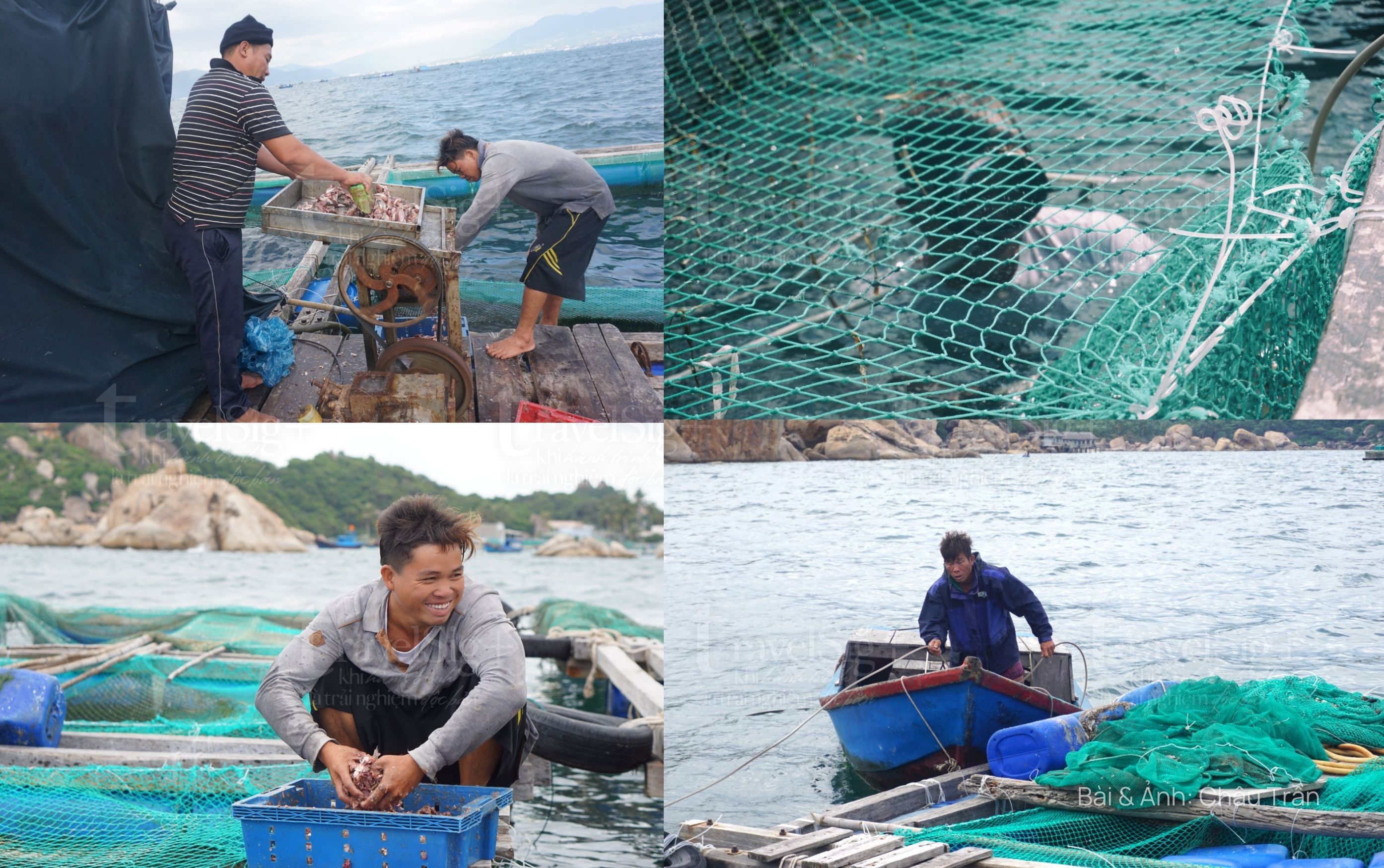 Cam Ranh, thủ phủ tôm hùm