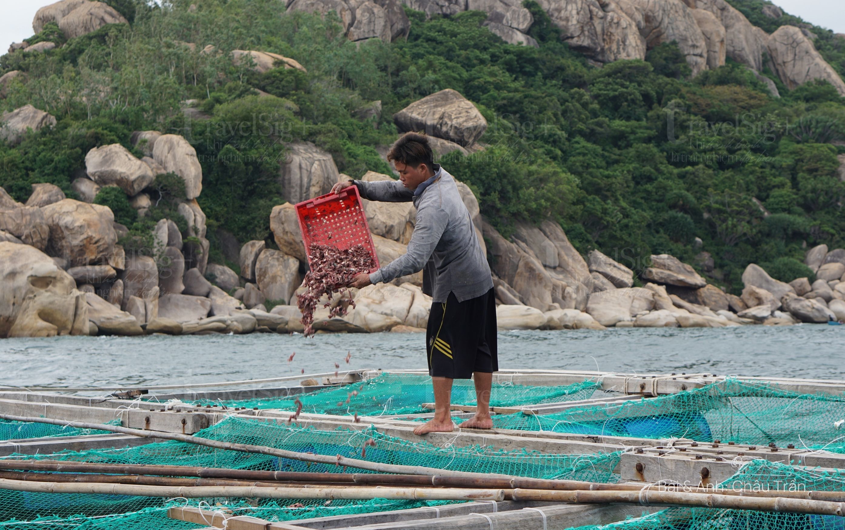 Cam Ranh, thủ phủ tôm hùm