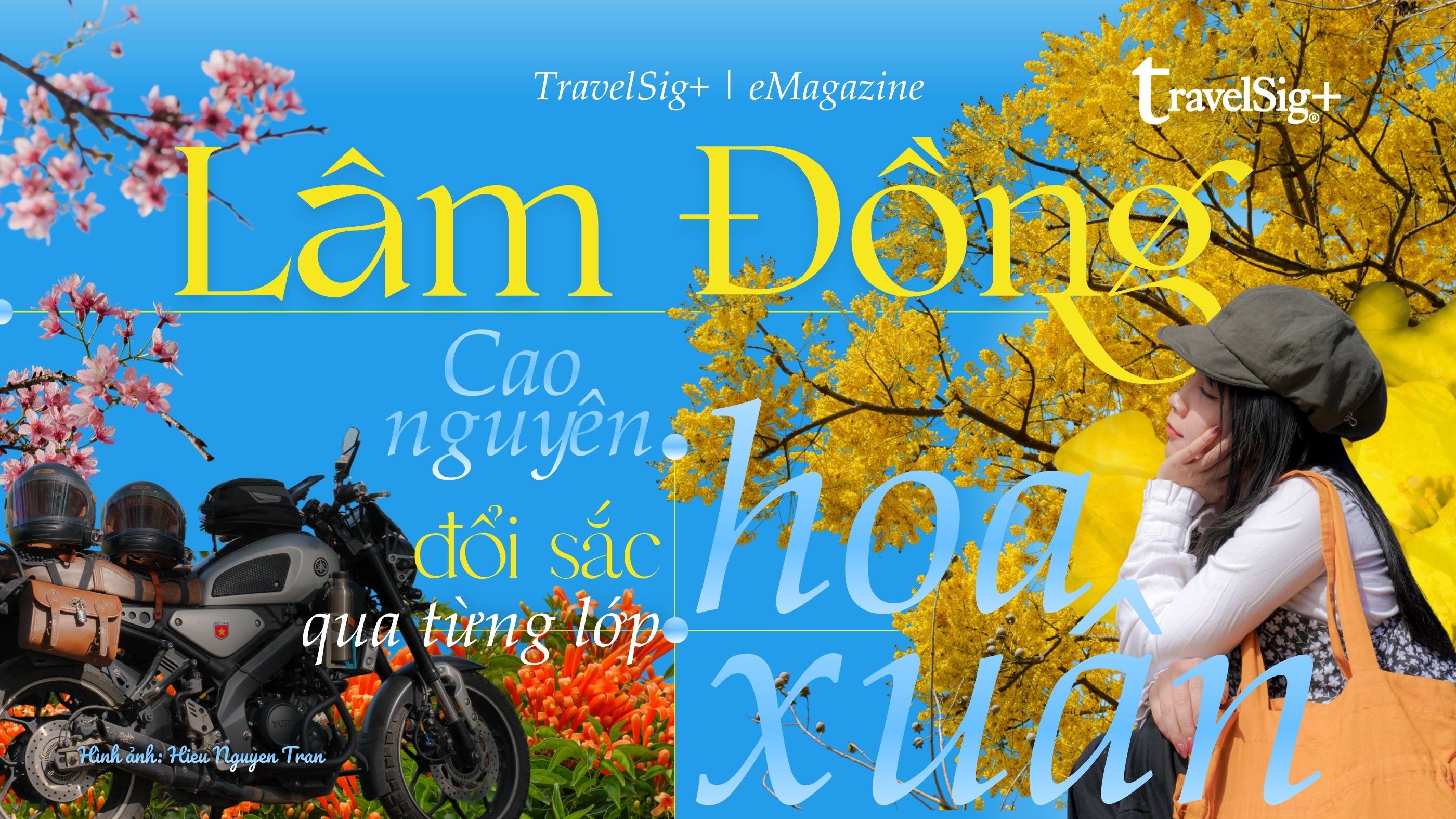 Cao nguyên Lâm Đồng đổi sắc qua từng lớp hoa xuân