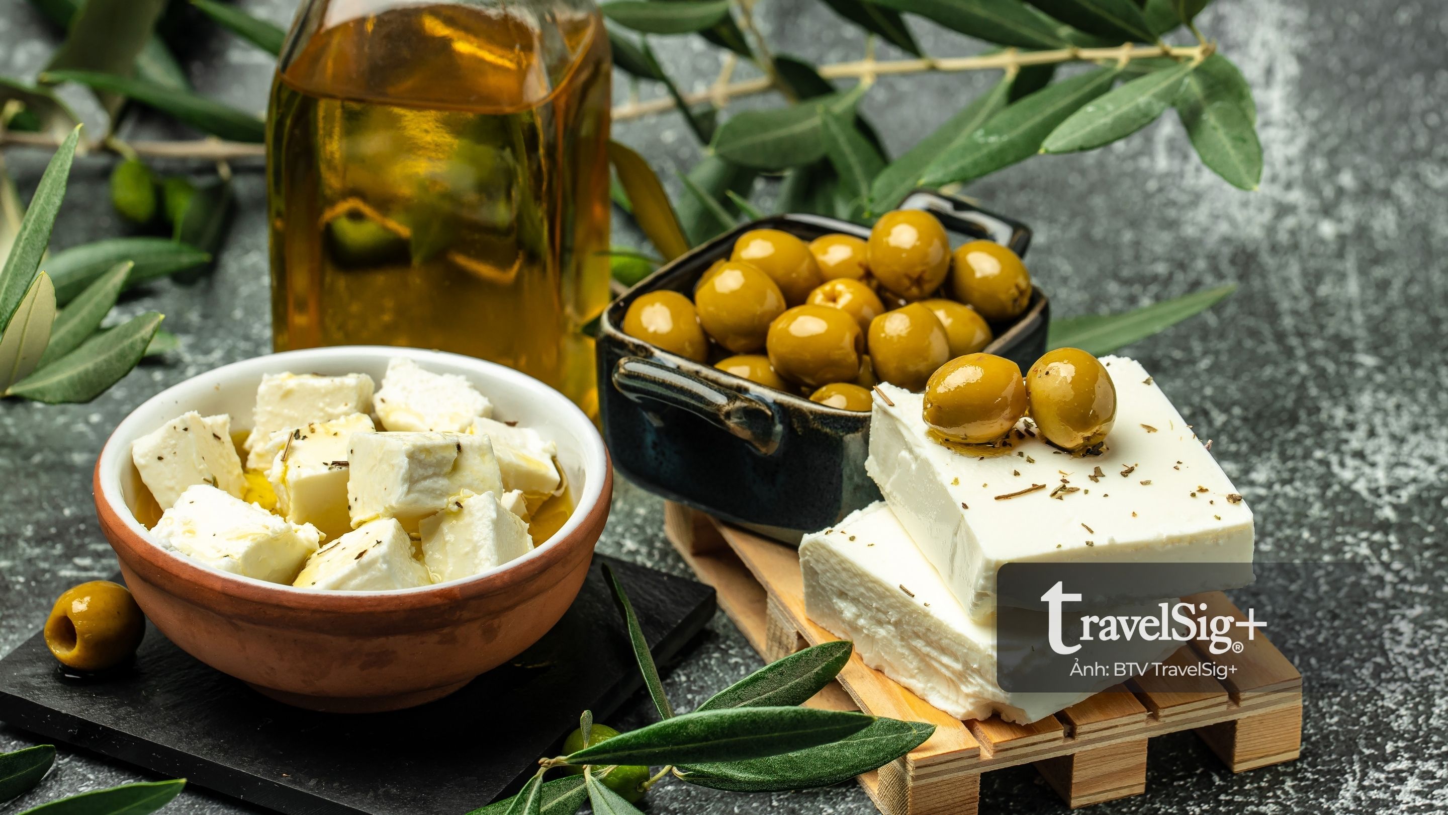 Câu chuyện olive - từ bóng cây Địa Trung Hải đến giọt dầu xanh vàng