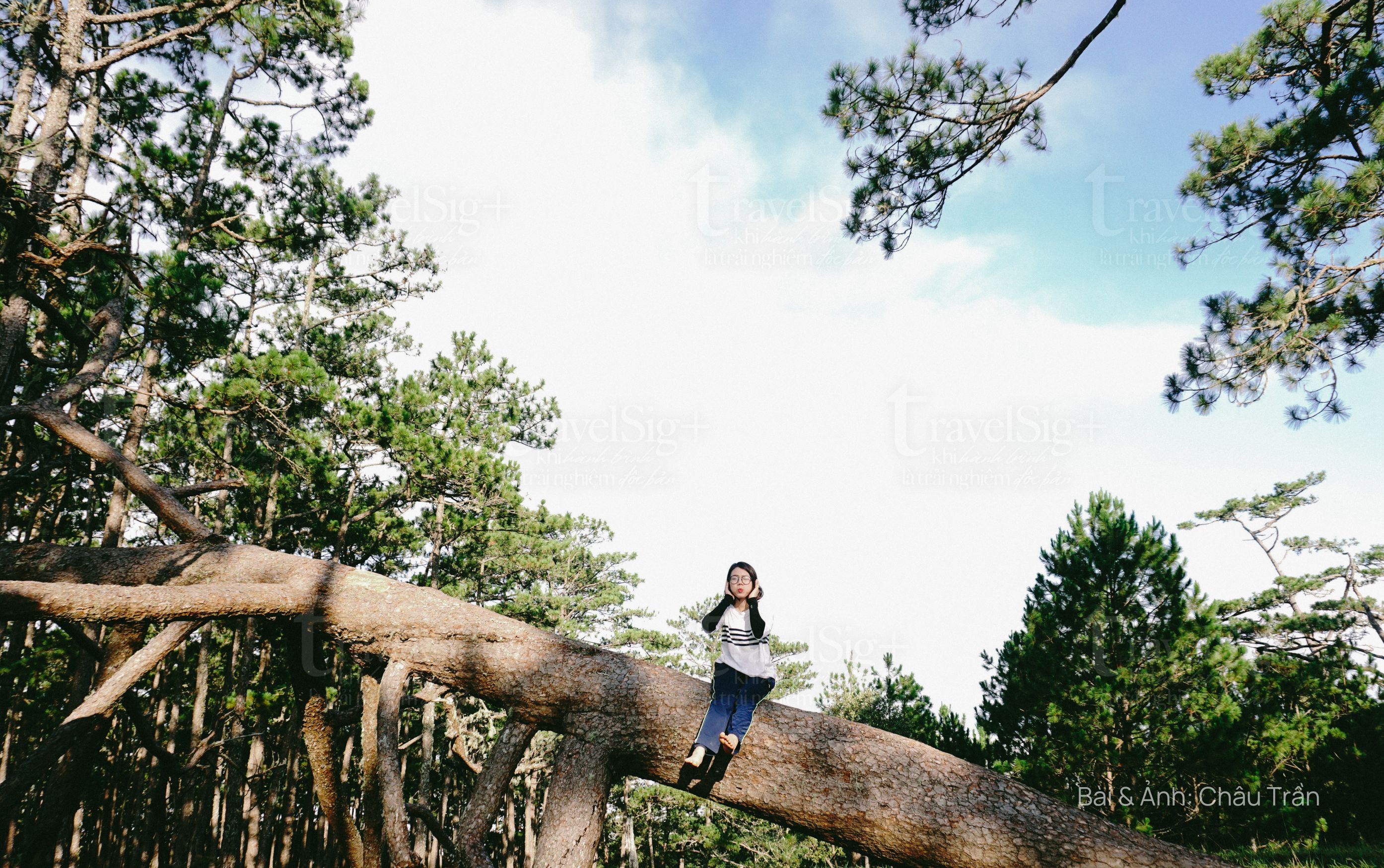 Chinh phục Bidoup, “mái nhà Tây Nguyên”