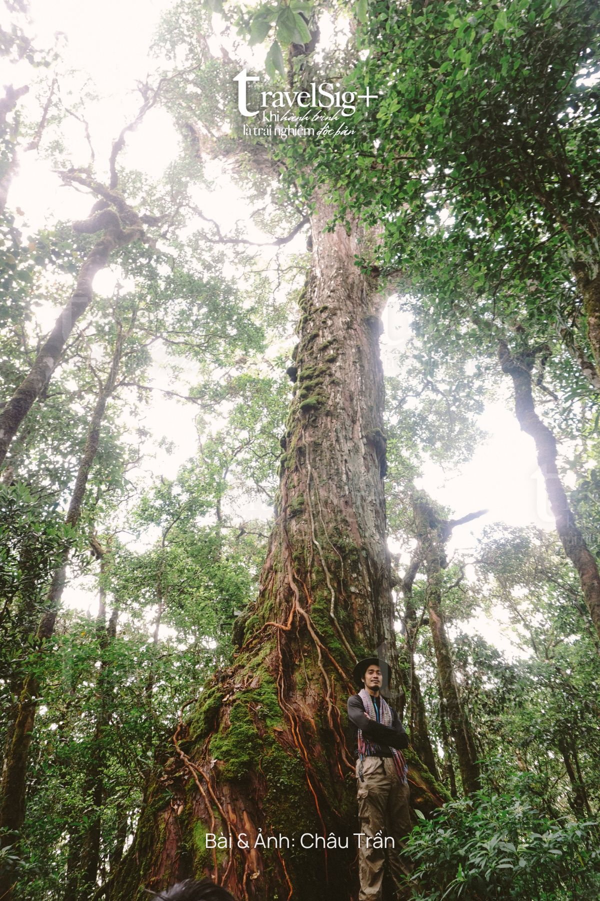 Chinh phục Bidoup, “mái nhà Tây Nguyên”