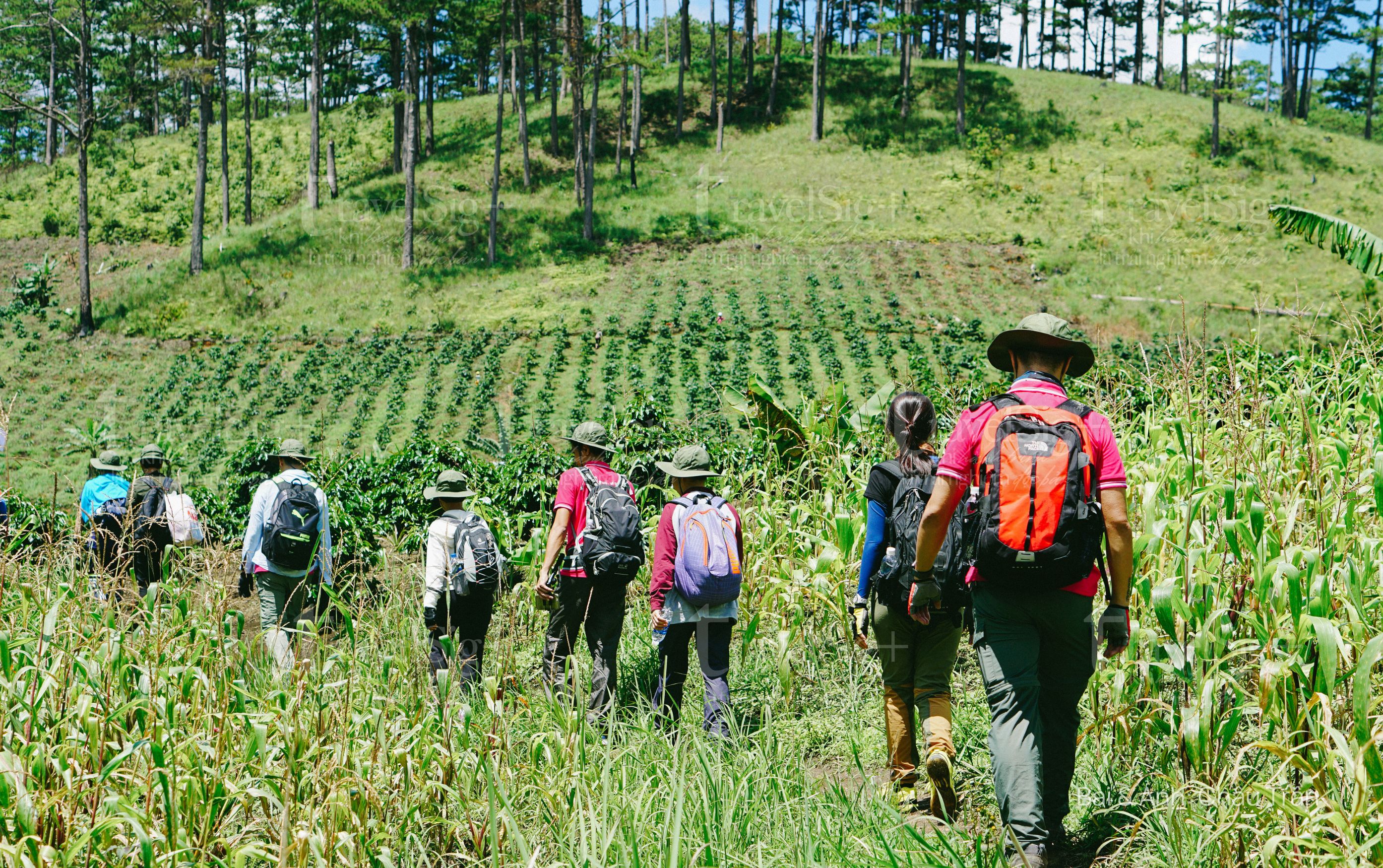 Chinh phục Bidoup, “mái nhà Tây Nguyên”