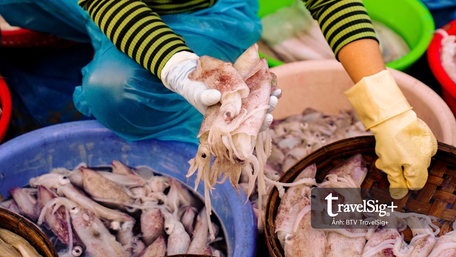 Chợ cá Duy Hải - Nơi một ngày bắt đầu từ biển