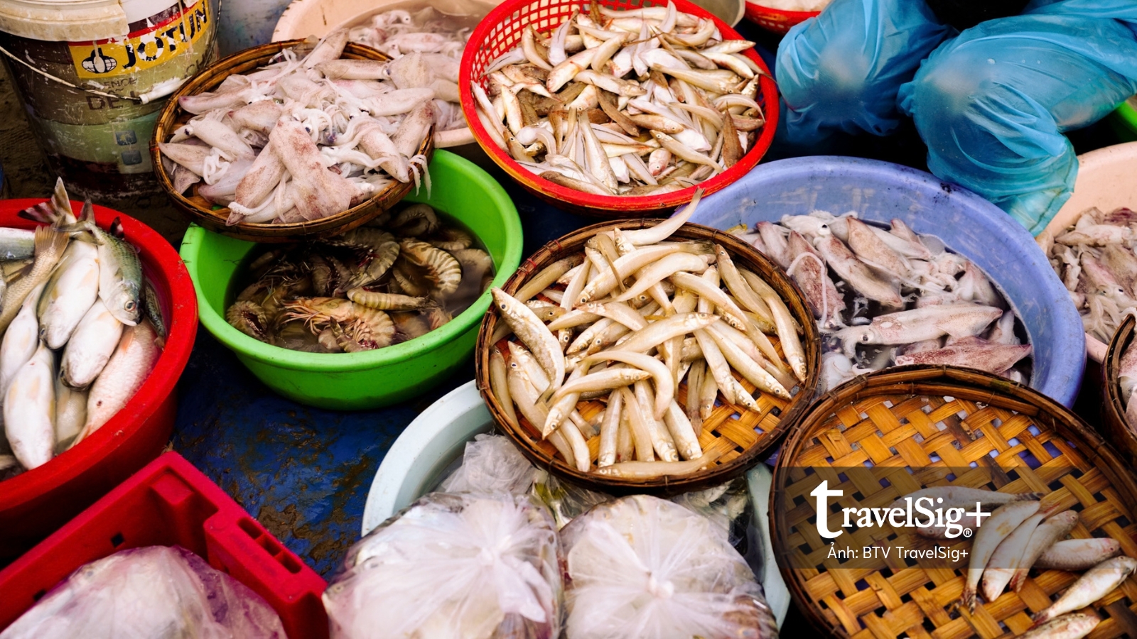 Chợ cá Duy Hải - Nơi một ngày bắt đầu từ biển