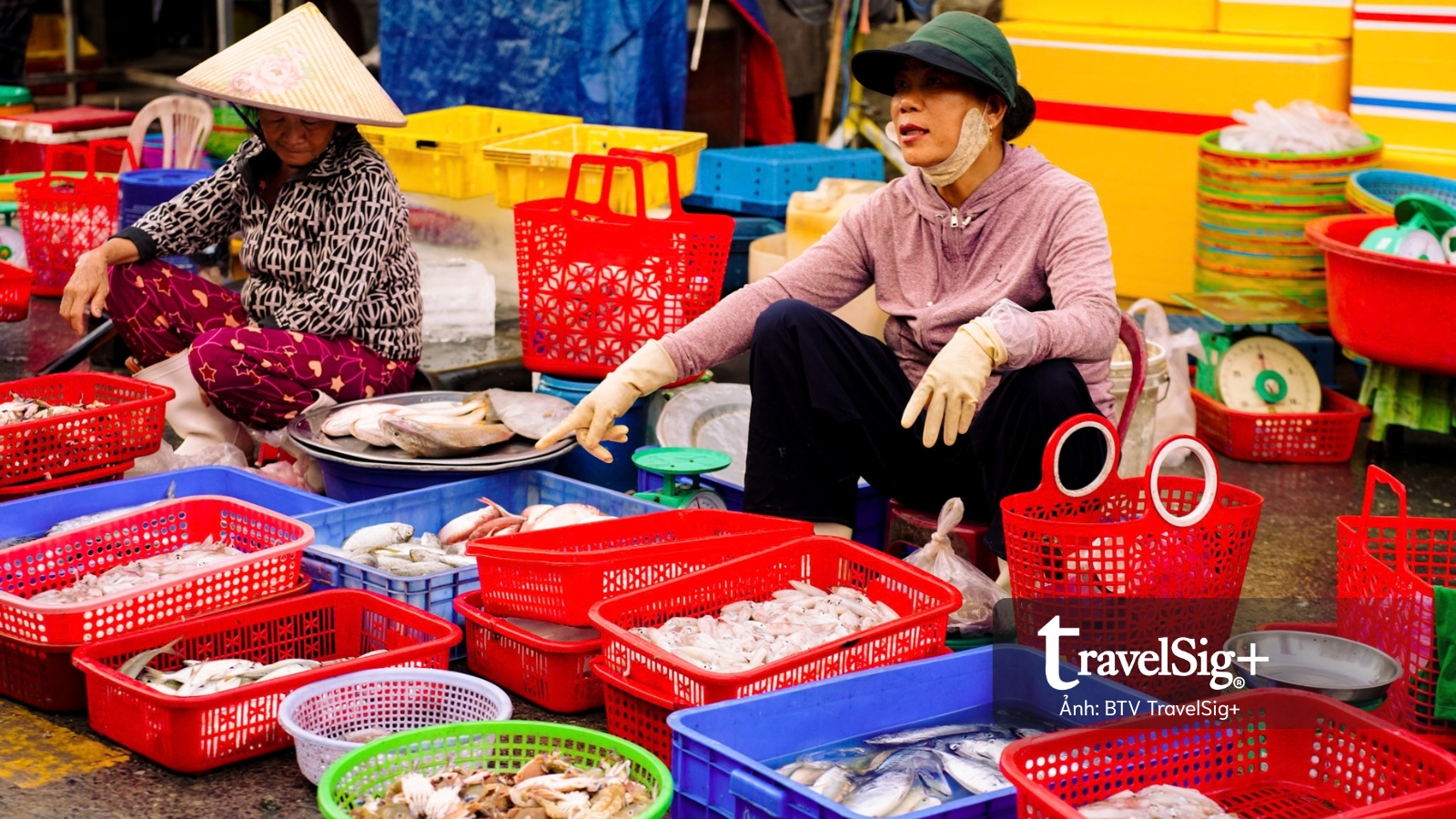 Chợ cá Duy Hải - Nơi một ngày bắt đầu từ biển