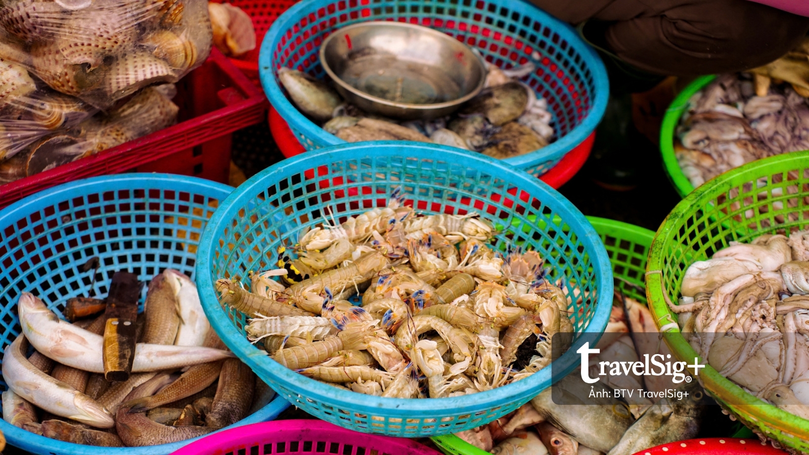 Chợ cá Duy Hải - Nơi một ngày bắt đầu từ biển