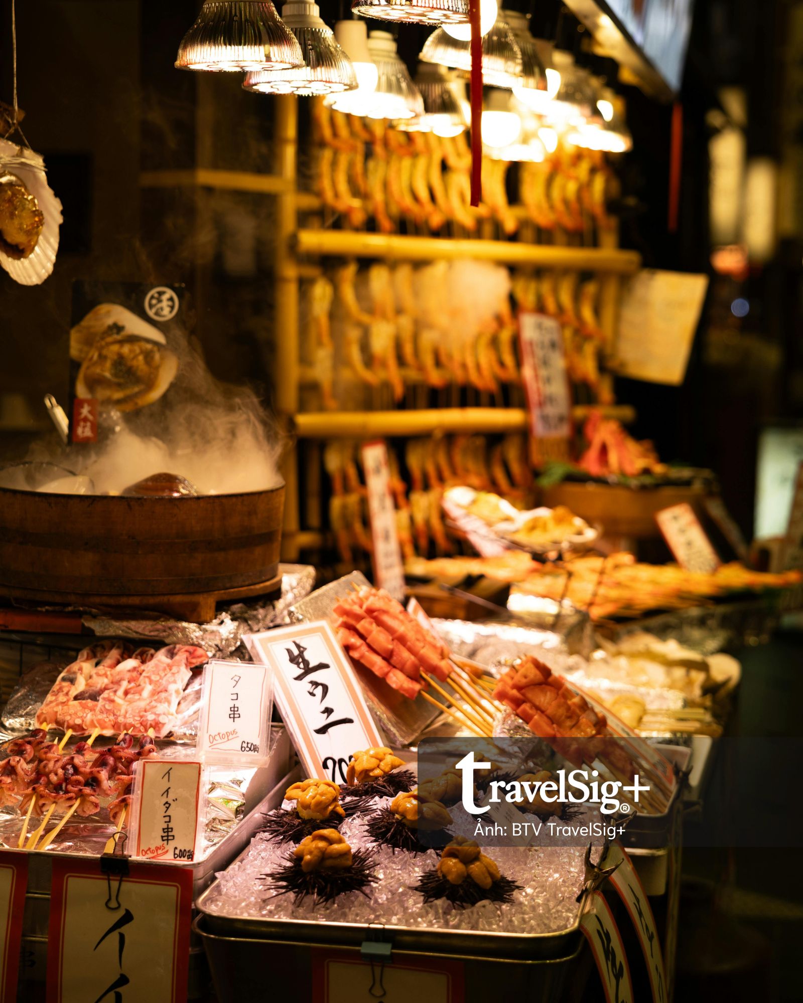 Chợ cá Nhật Bản và nhịp sống mặn mòi từ biển đến bàn ăn