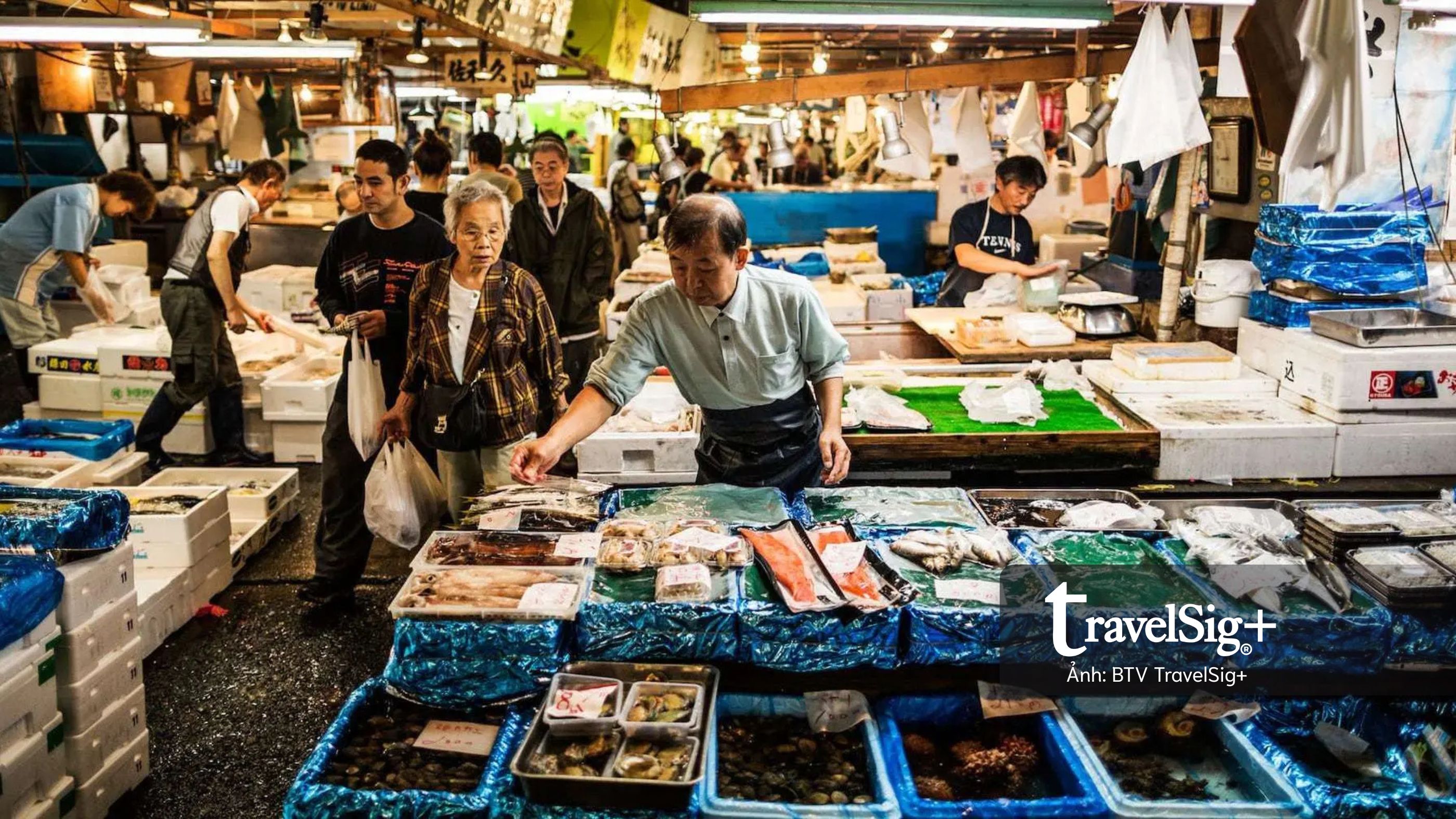 Chợ cá Nhật Bản và nhịp sống mặn mòi từ biển đến bàn ăn