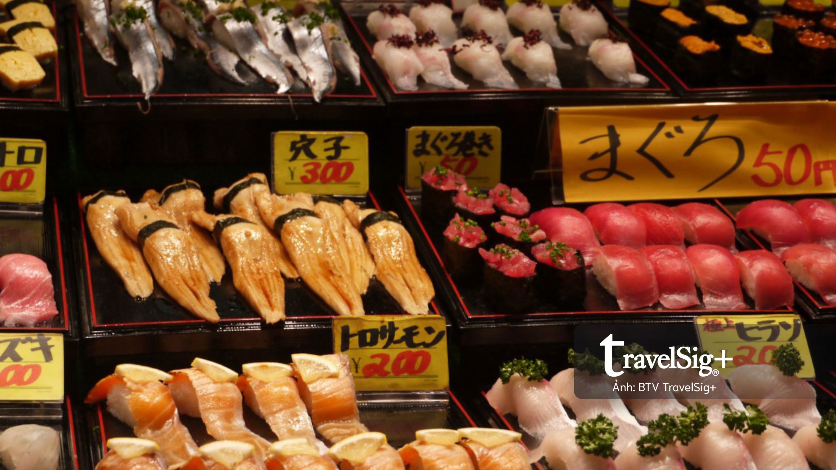 Chợ cá Nhật Bản và nhịp sống mặn mòi từ biển đến bàn ăn