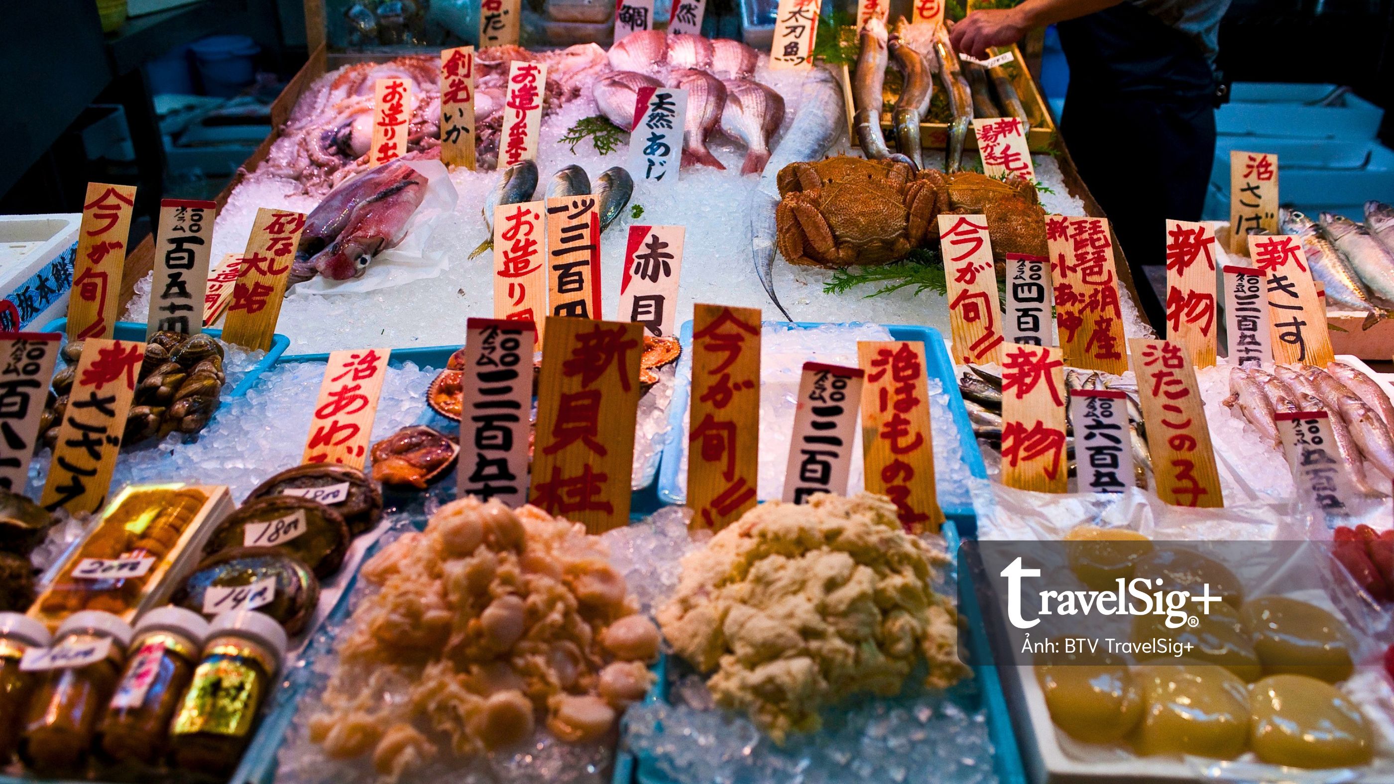 Chợ cá Nhật Bản và nhịp sống mặn mòi từ biển đến bàn ăn