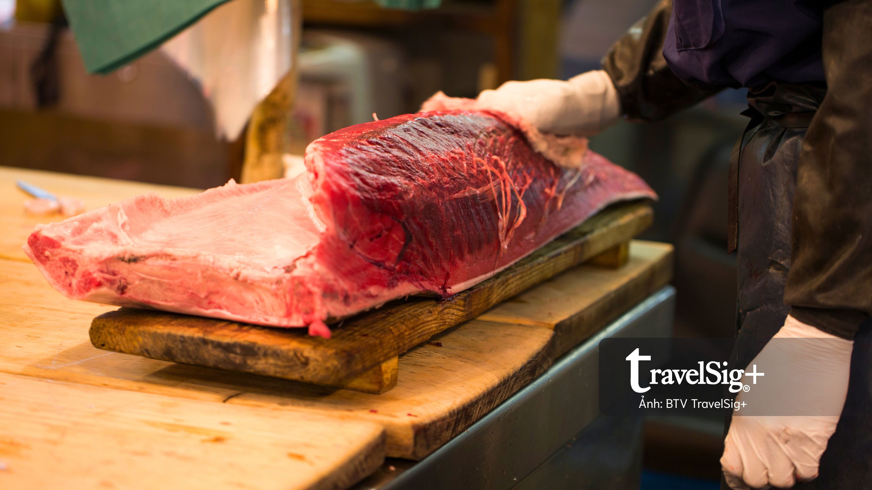 Chợ cá Nhật Bản và nhịp sống mặn mòi từ biển đến bàn ăn