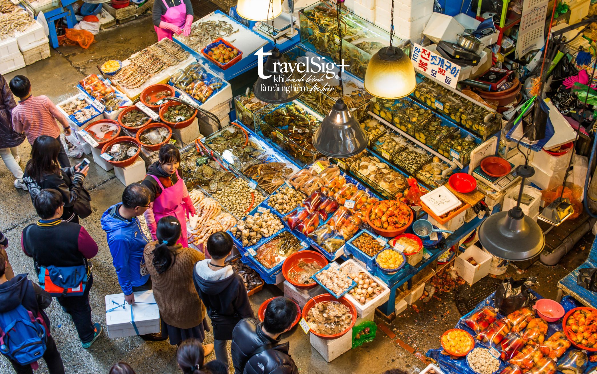 Chợ cá Noryangjin - Thiên đường hải sản tươi sống giữa lòng Seoul