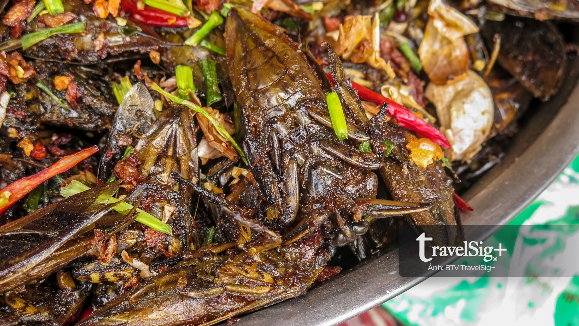 Chợ côn trùng Skun - Trải nghiệm “ẩm thực lạ” giữa lòng Campuchia