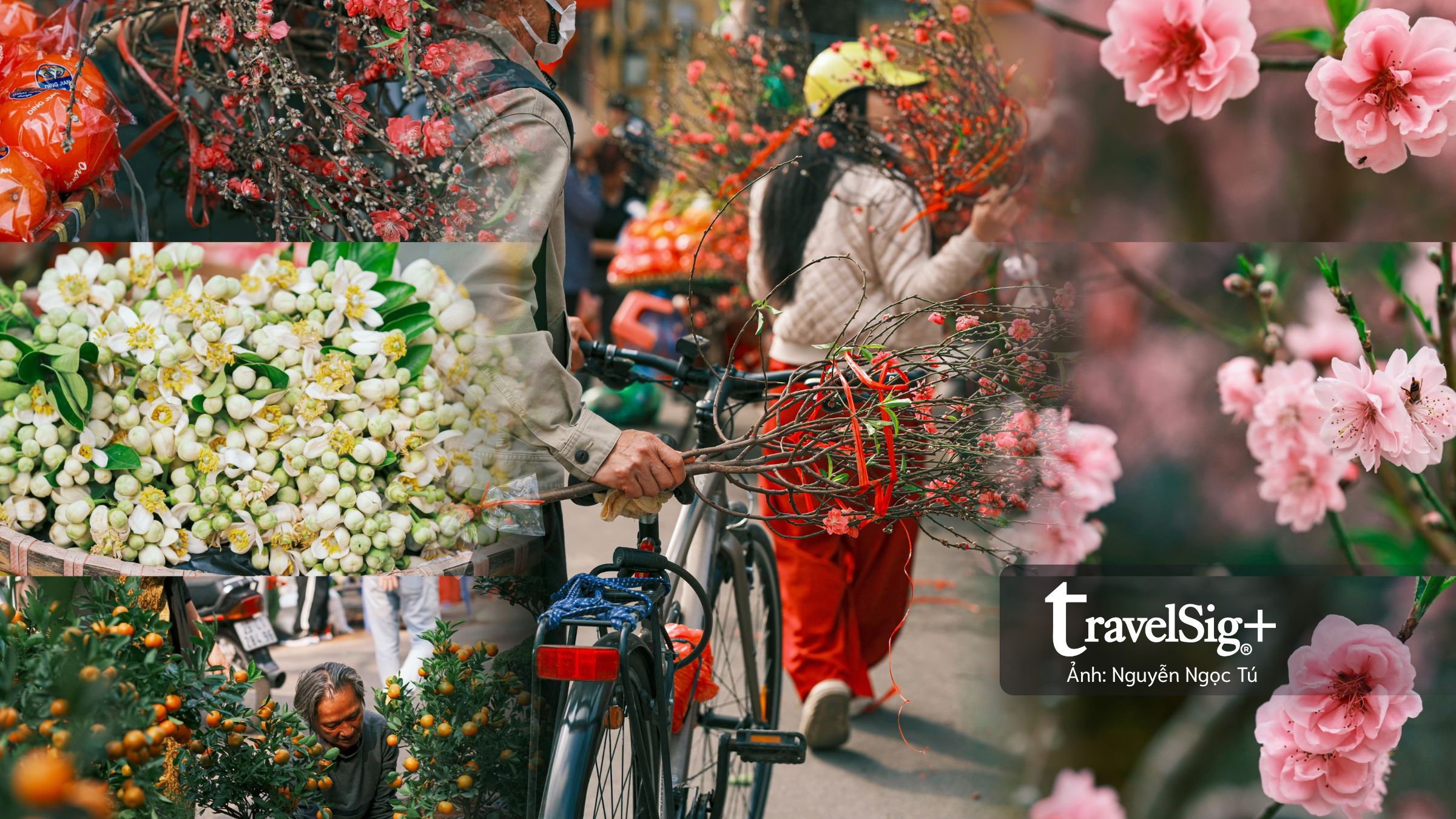 Chở xuân về nhà: Khi chợ Tết đánh thức ký ức bằng hương và sắc