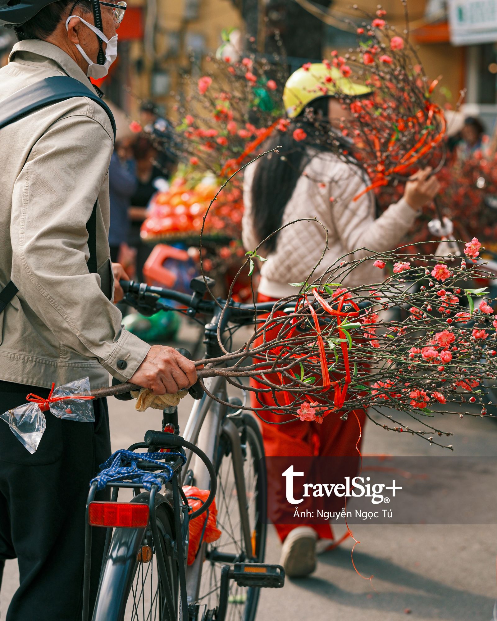 Chở xuân về nhà: Khi chợ Tết đánh thức ký ức bằng hương và sắc