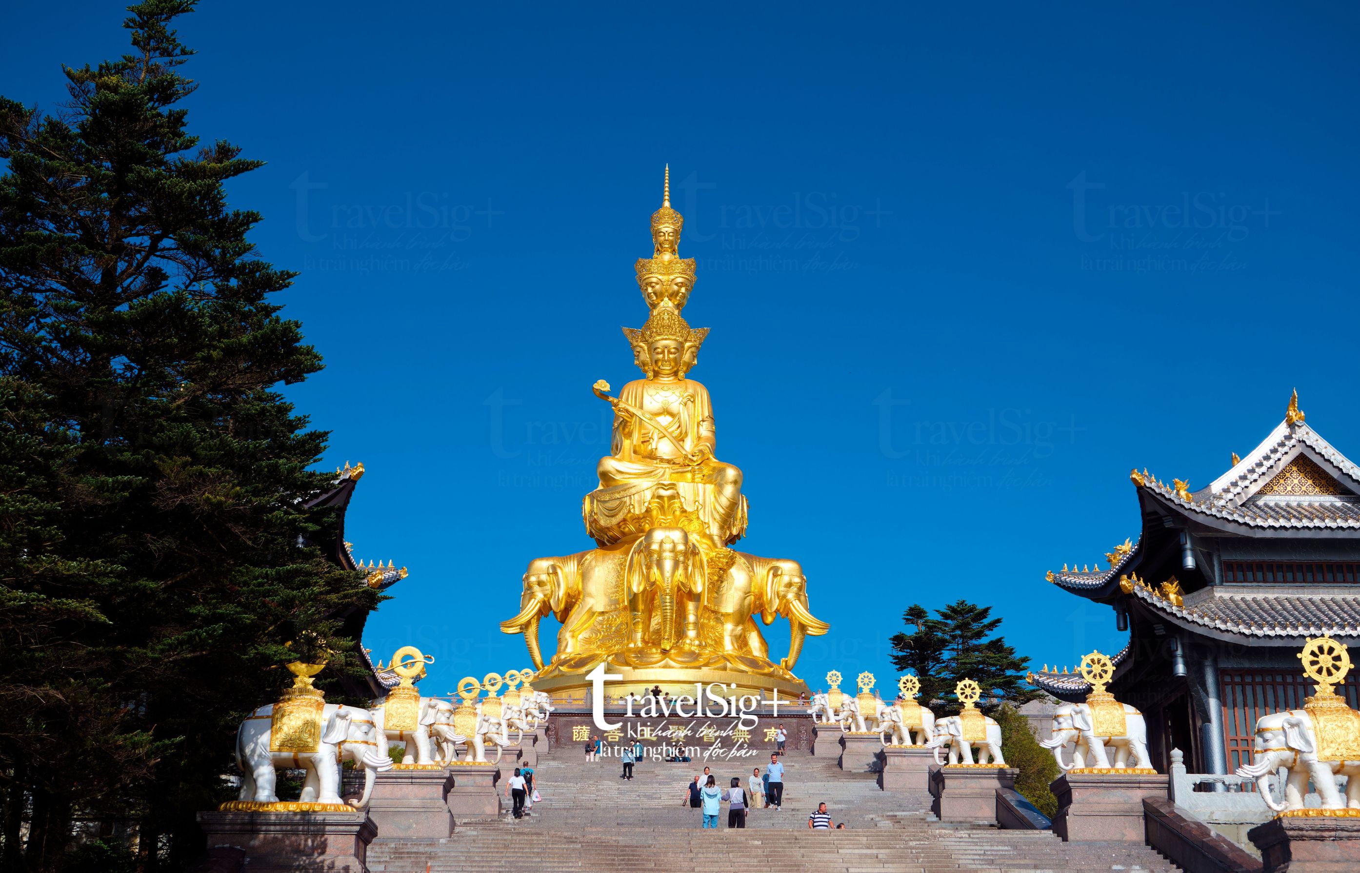 Đại tượng phật Thập Phương Phổ Hiền, biểu tượng thiêng liêng trên núi Nga Mi