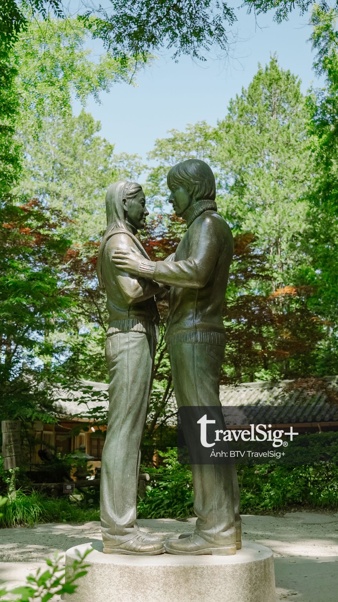 Đảo Nami - Thiên đường mùa hè xanh mát giữa lòng Hàn Quốc