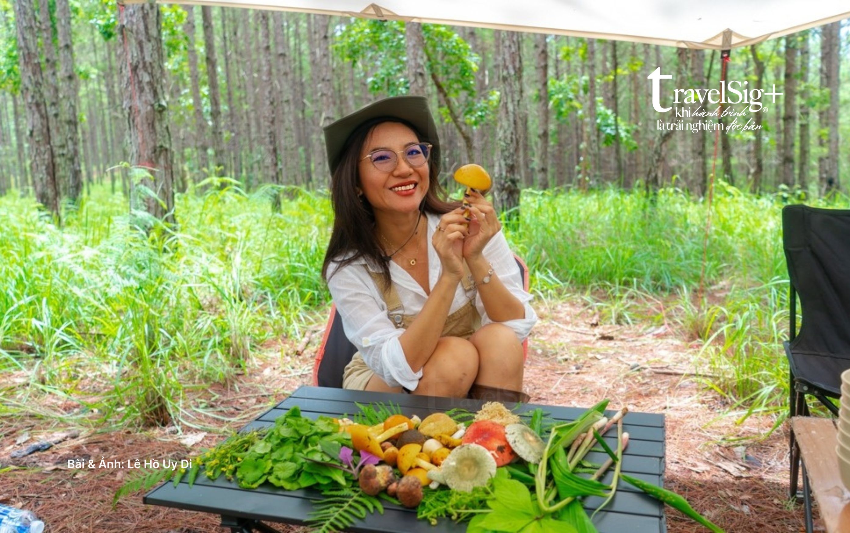 Dạo rừng thông Đà Lạt, tìm vị ngọt từ lòng đất