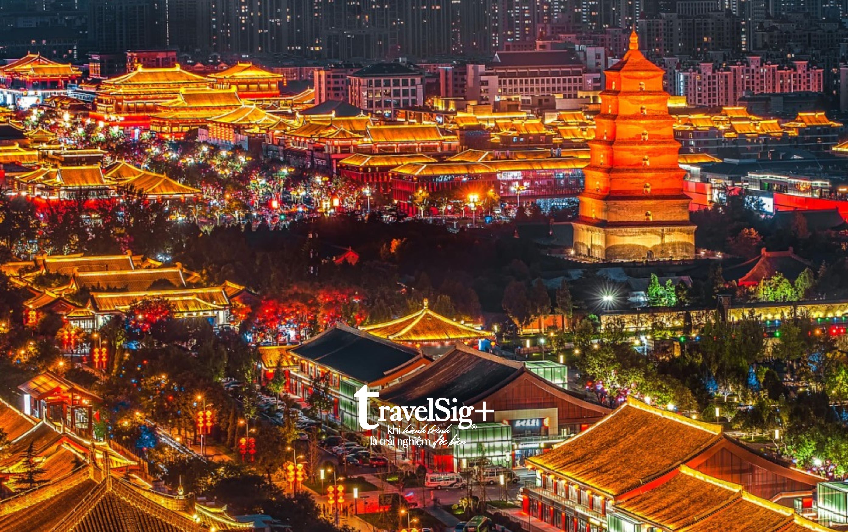 Đêm Tây An - Khi cố đô bừng sáng trong ánh đèn và ký ức triều đại
