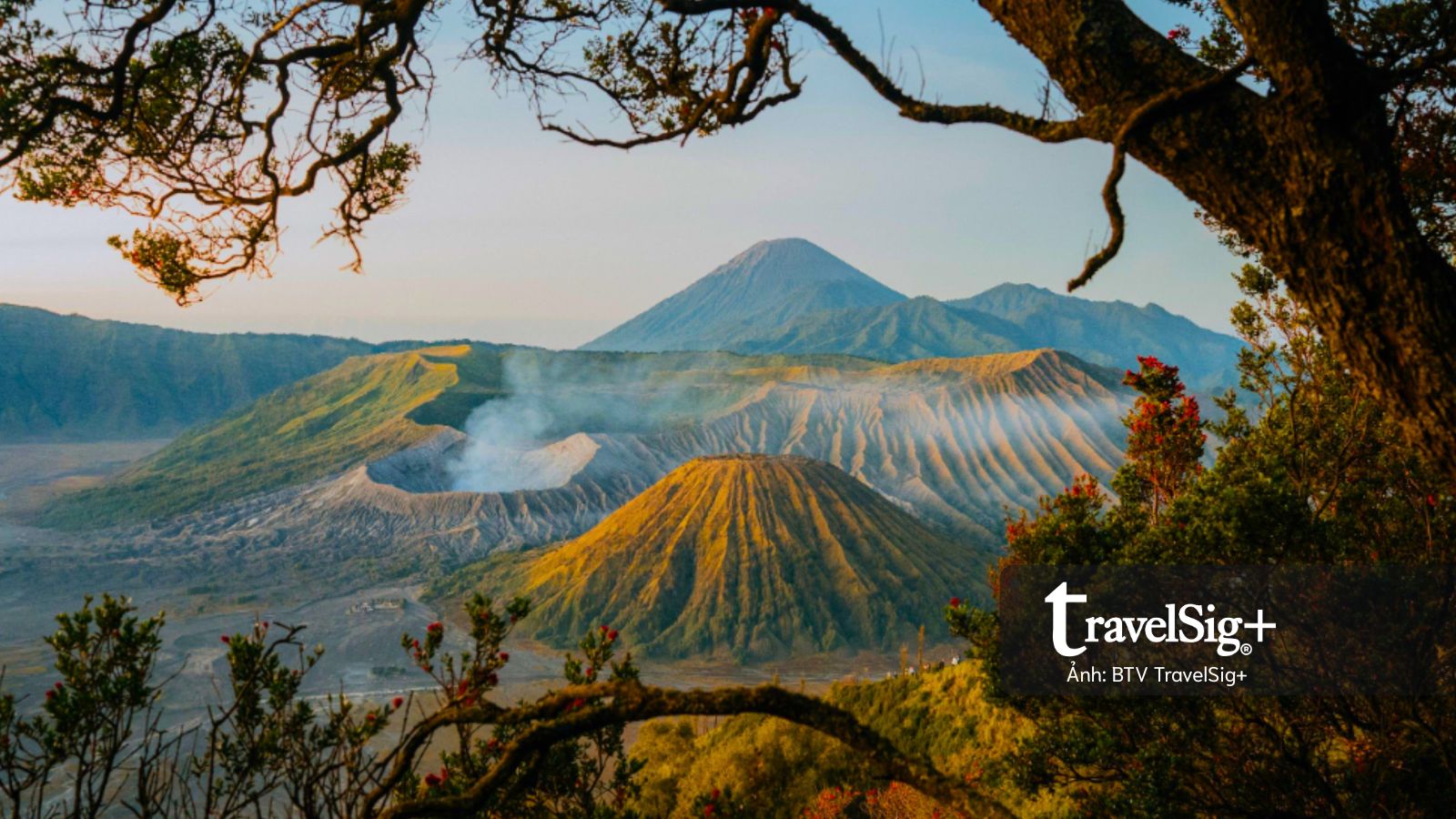 Đến Bromo đón bình minh trên miệng núi lửa ở Đông Java