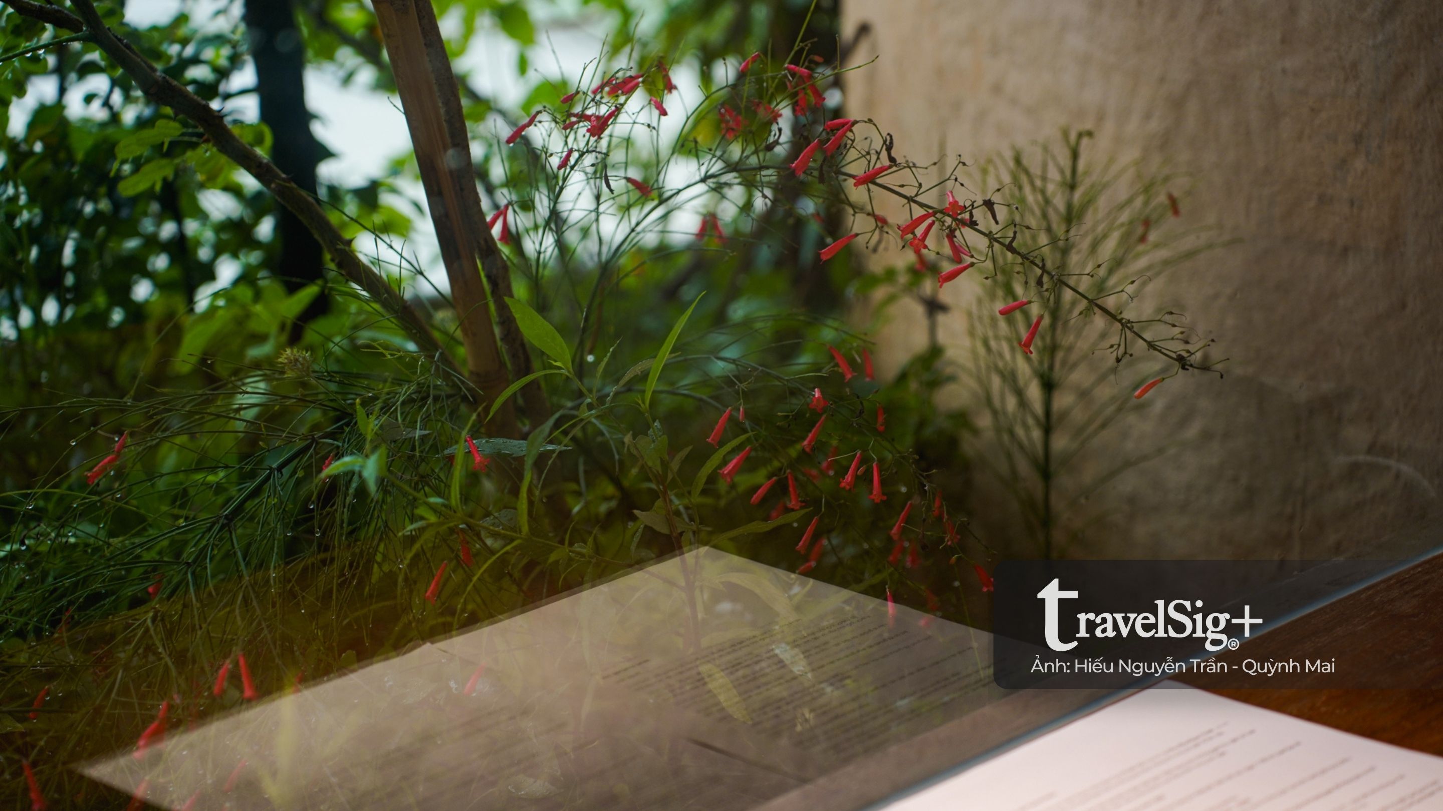 Đến Hội An, ở trong gam màu trầm của RÊU Boutique