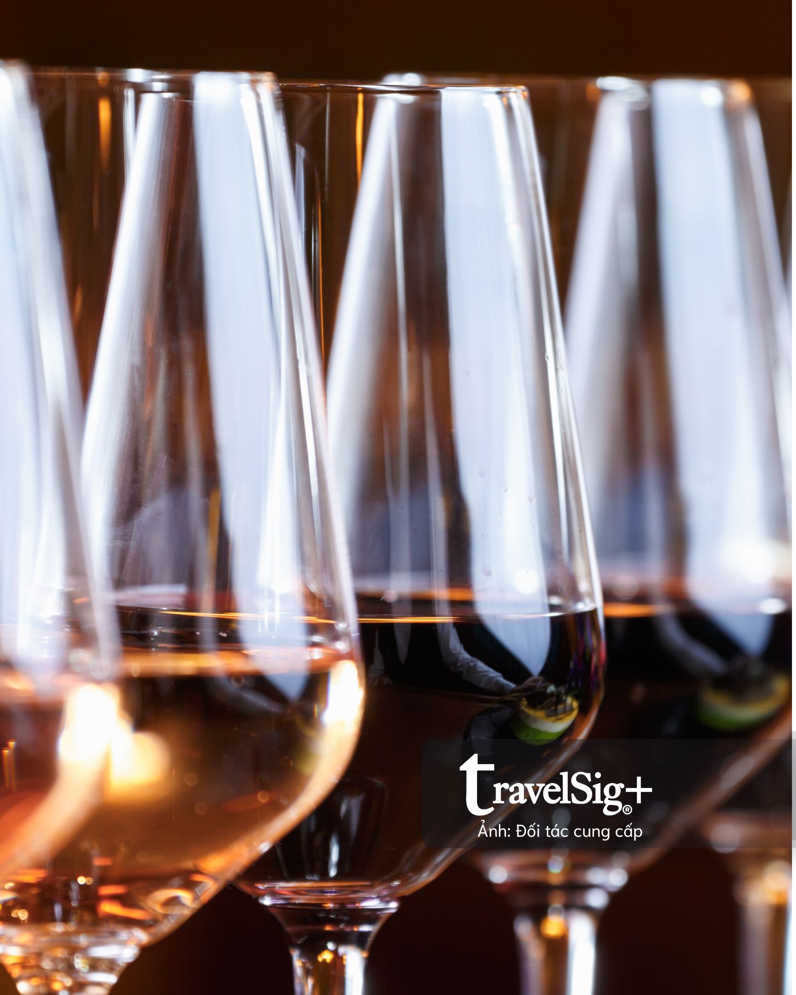 Điểm hẹn dành cho những quý cô sành điệu ở Sofitel Saigon Plaza